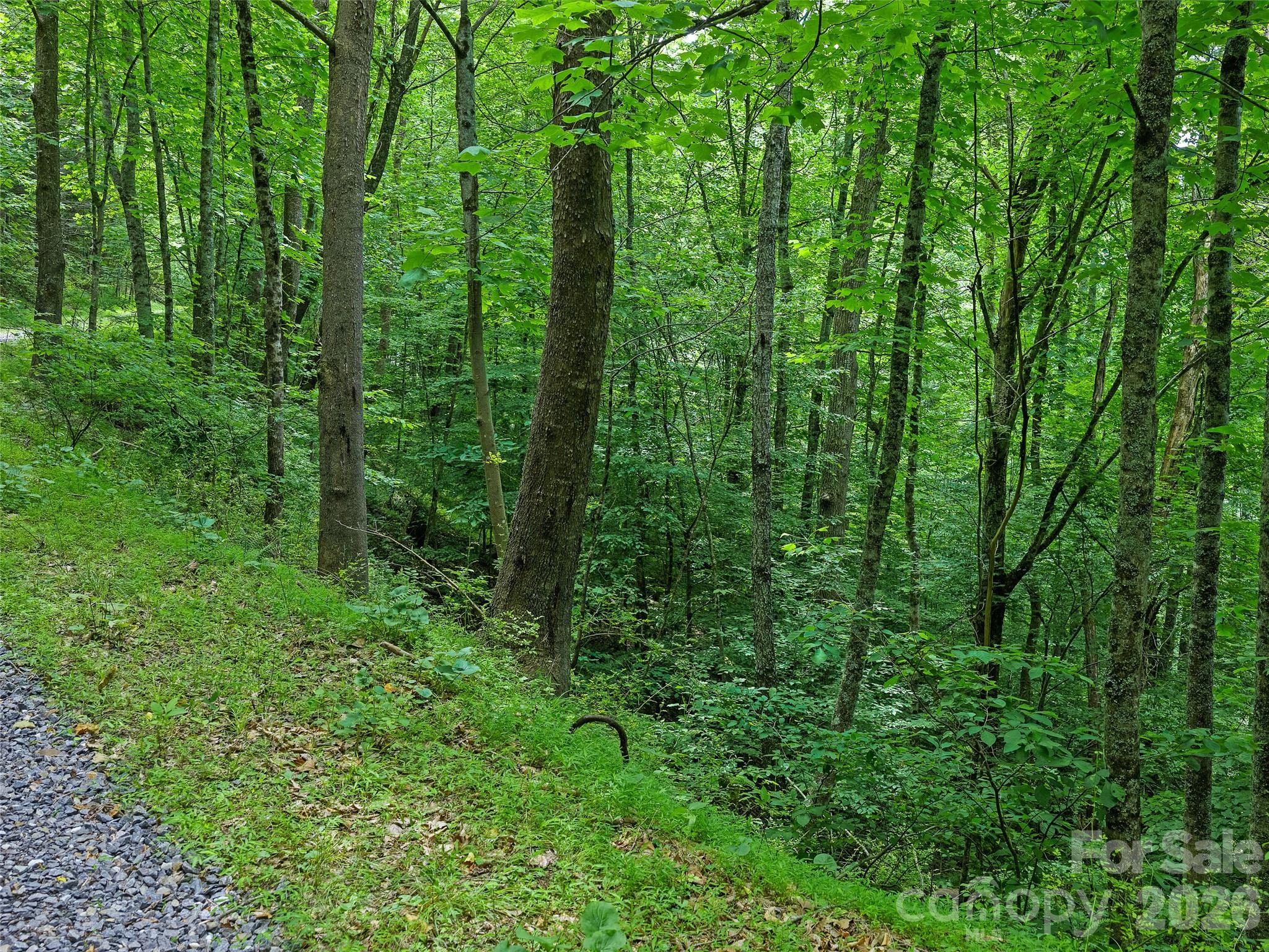 Cane River Hamlet - Land