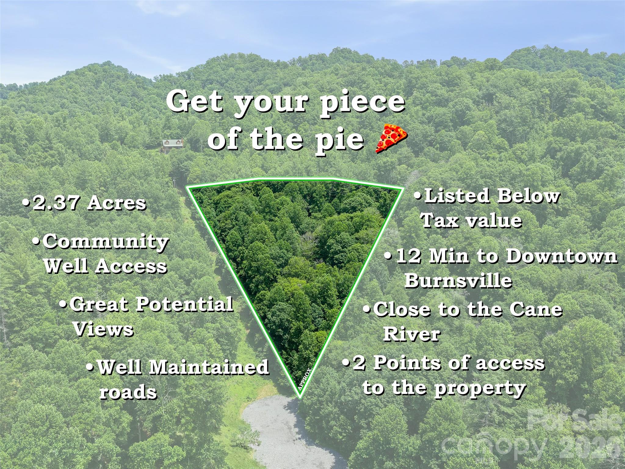 Excellent opportunity to own 2.37 acres in the desirable Cane River Hamlet Subdivision. This beautiful wooded lot offers easy access to the Cane River and is just a short distance from Cane River Park. With some selective tree clearing, the property has the potential for outstanding mountain views. One of the biggest advantages of this lot is access to a community well, helping reduce some of the upfront costs associated with building. The subdivision features light restrictions that provide flexibility while helping protect property values. Access is available from both Hamlet Drive and Blueberry Drive, making it easy to explore and develop. Enjoy the peaceful drive along the scenic Cane River while still being only 12 minutes to Downtown Burnsville. Priced well below tax value, this is an excellent opportunity for anyone looking to build a mountain home, vacation getaway, or investment property.