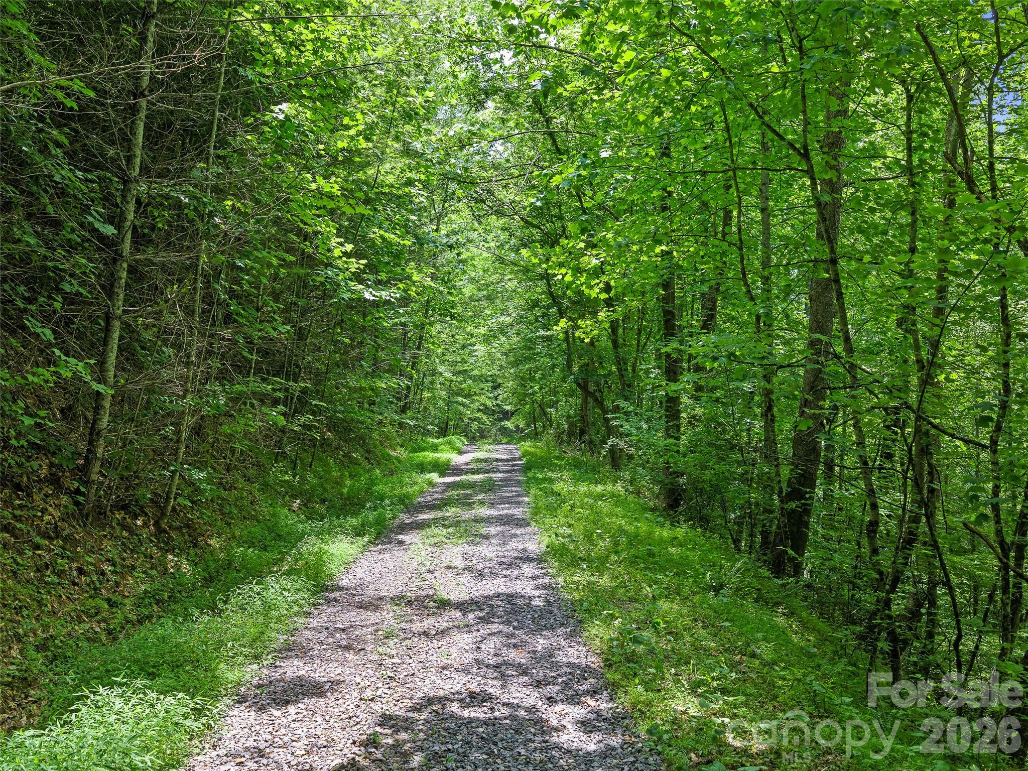 Cane River Hamlet - Land