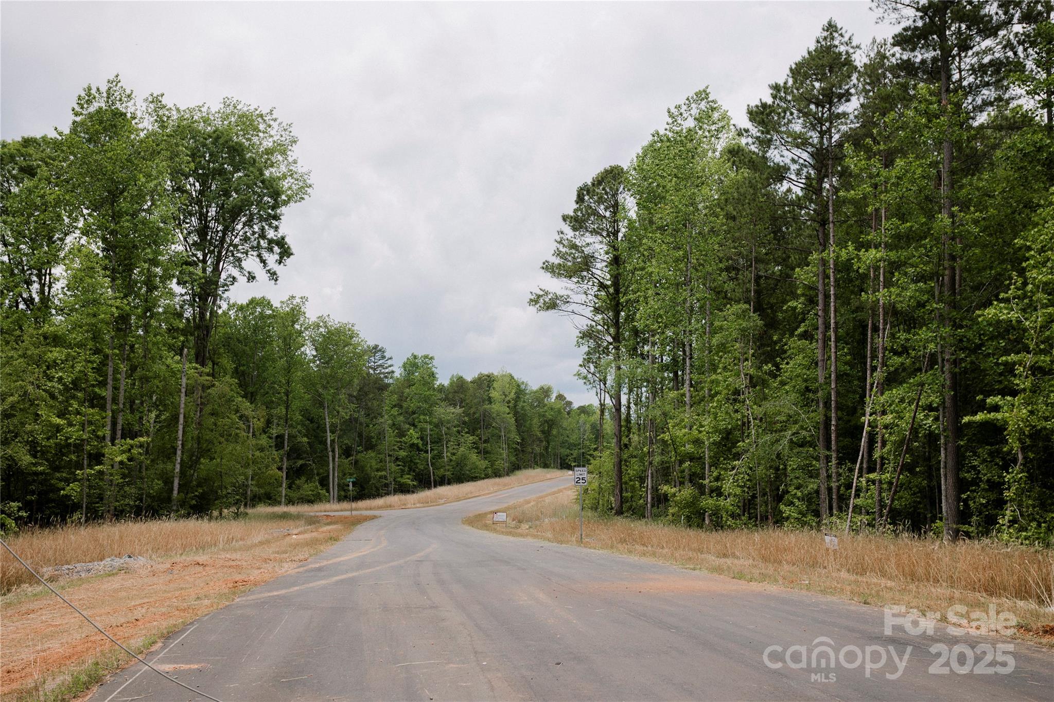 Southern Pine Lake - Land