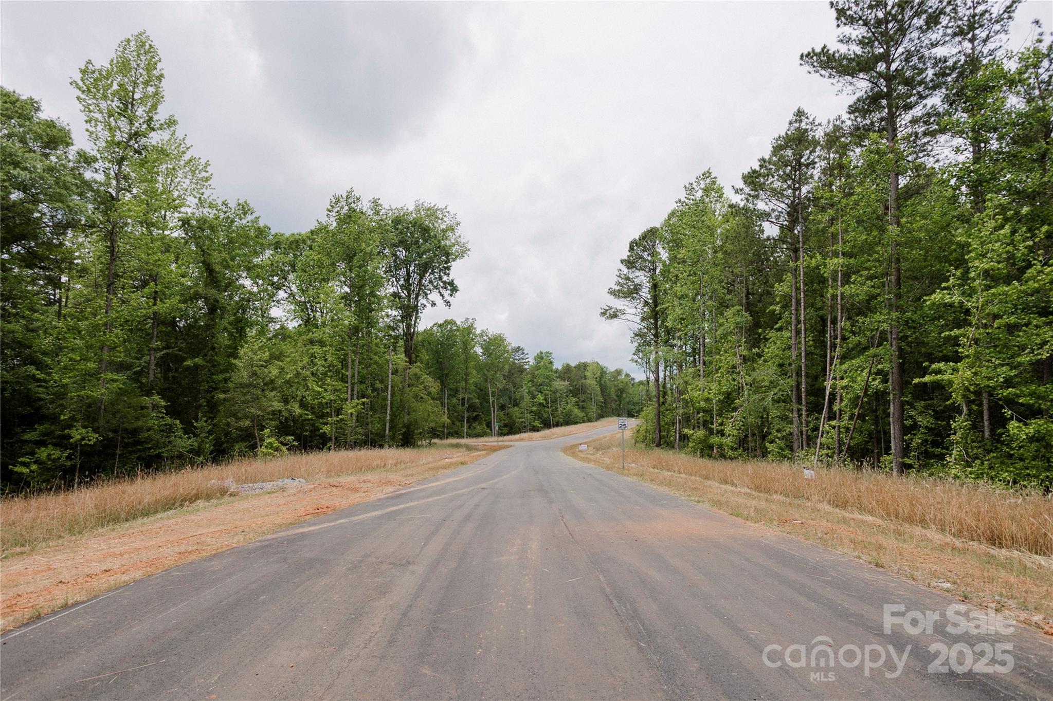 Southern Pine Lake - Land