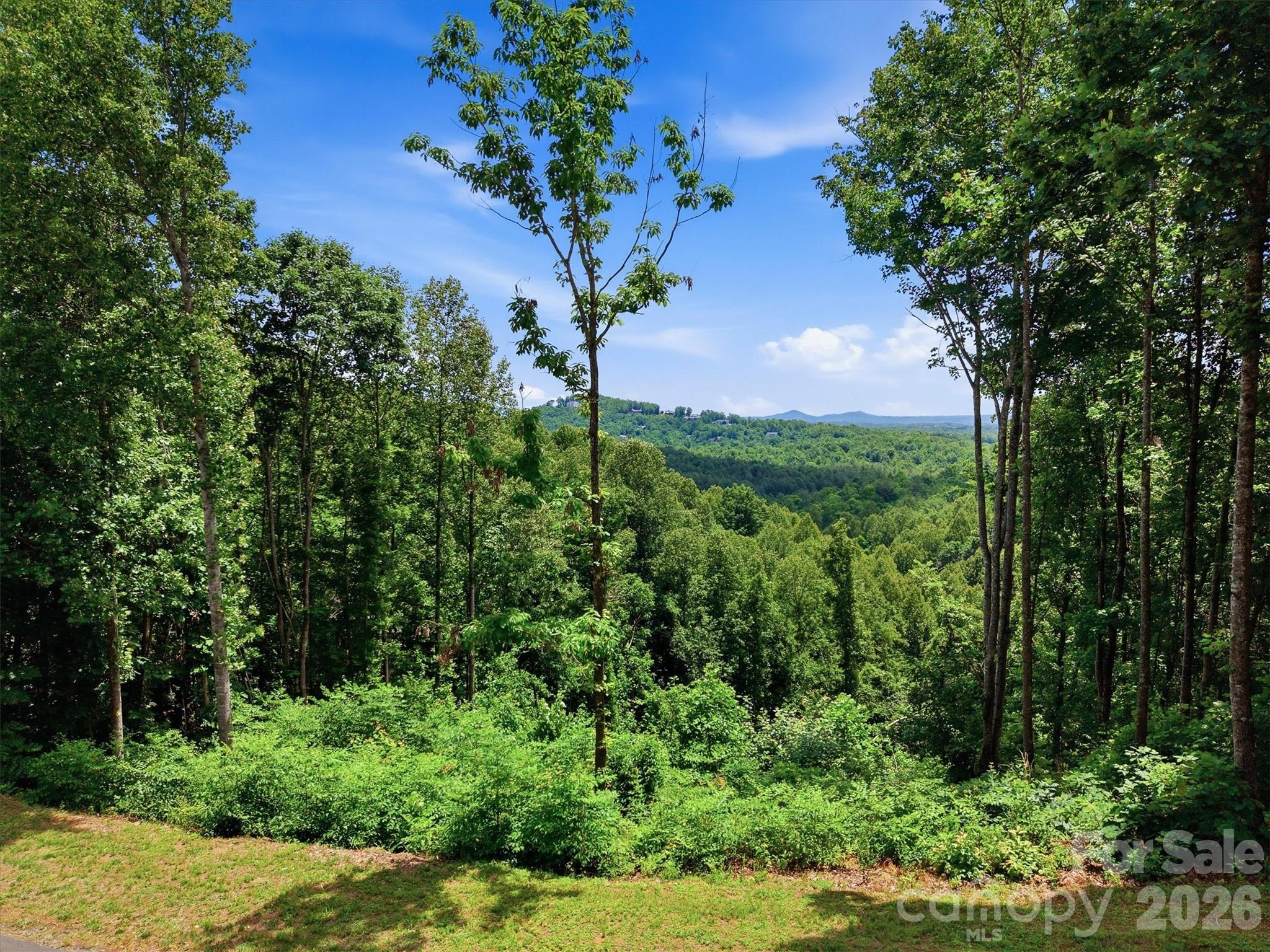 The Coves Mountain River Club - Residential