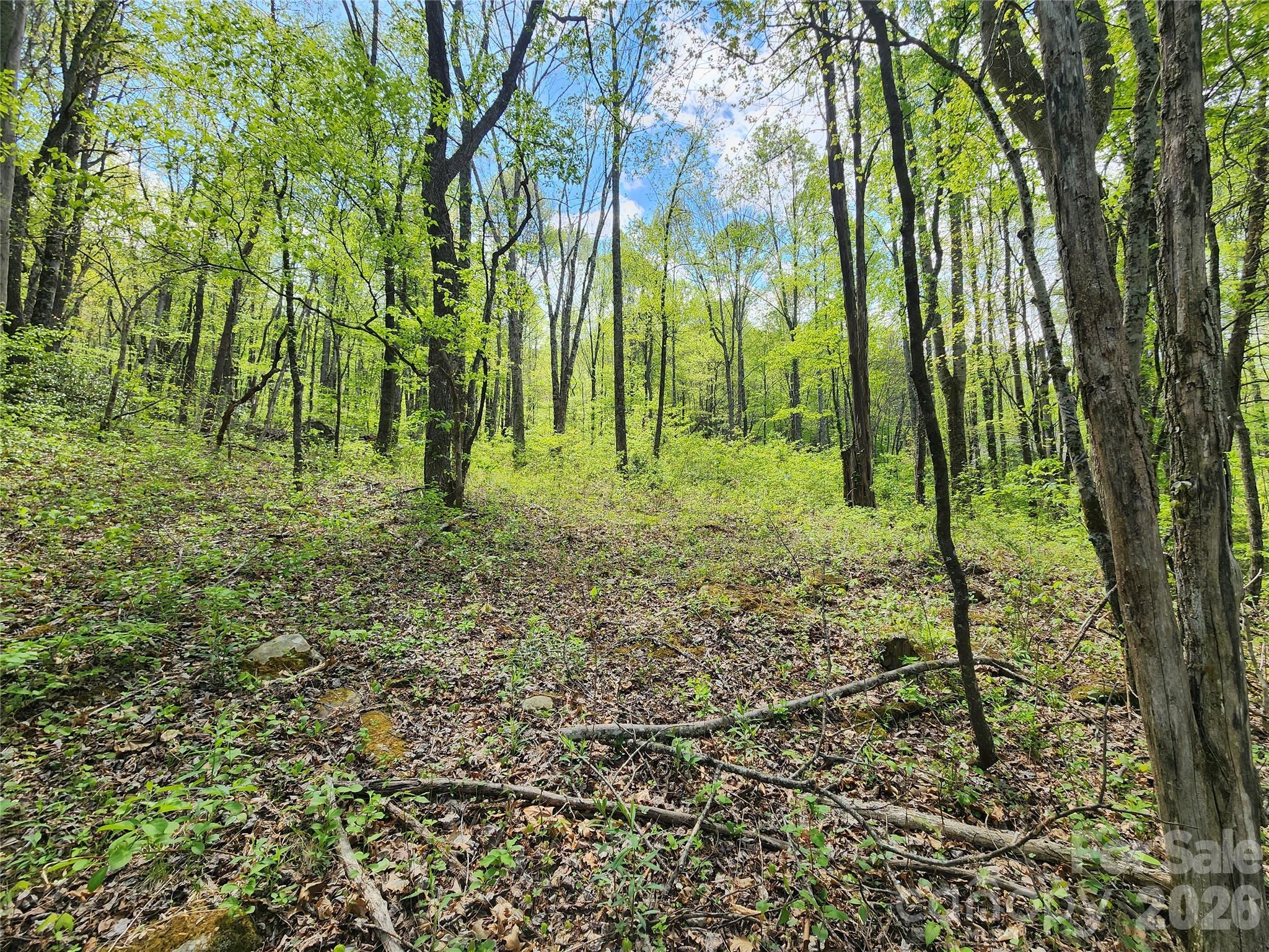 Conveniently located just off Hwy 276, this beautiful wooded lot could be the ideal setting for your future home!  With a well already installed and a previously completed (expired) 3 bedroom perc test from 2018, much of the groundwork has been started for you. A road is already in place, providing easy access to the property.

While not directly creekfront, you’ll enjoy the peaceful setting with seasonal glimpses of the river and the soothing sound of water nearby. Best of all, the property is not located in a flood plain, offering added peace of mind.

Bring your house plans and start building your ideal retreat in this serene and accessible location.