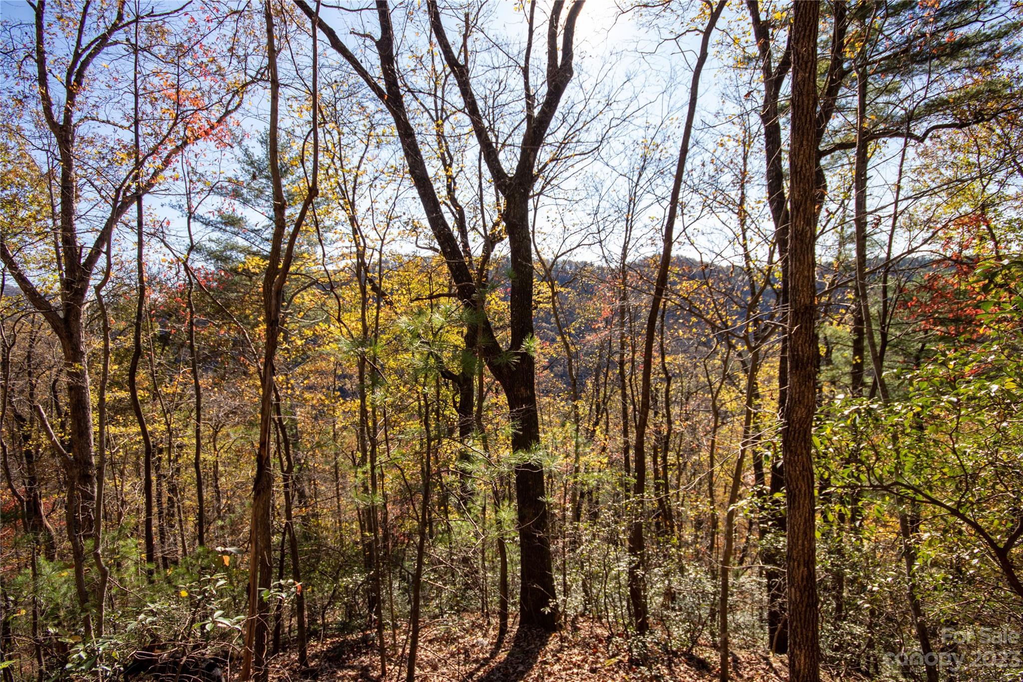 Timber Rock - Land