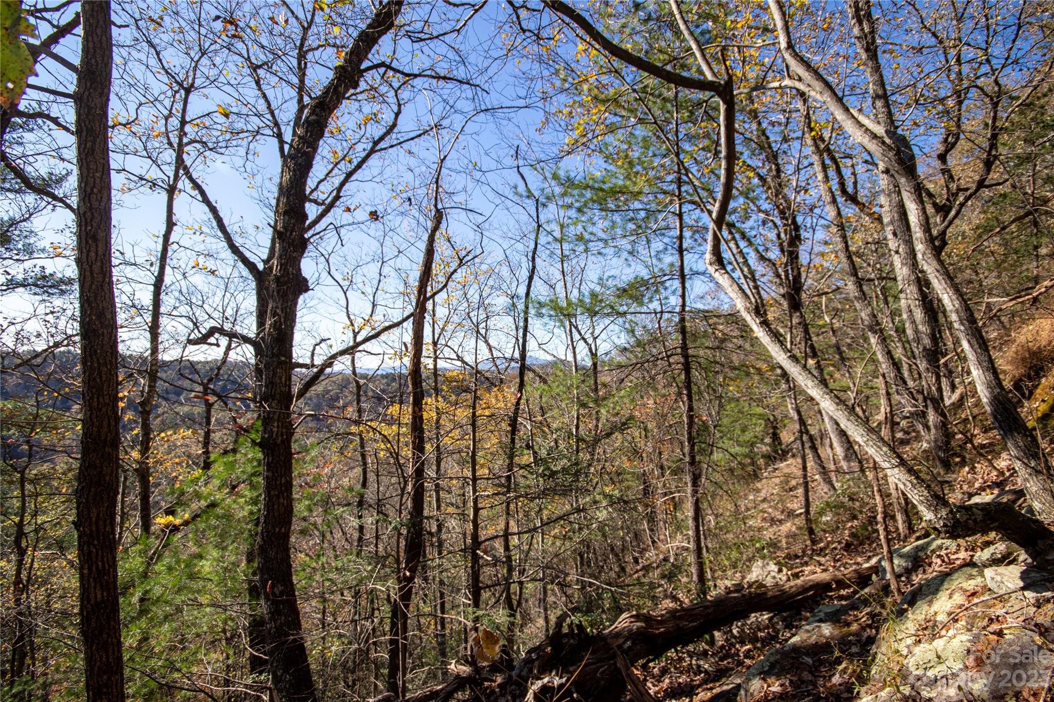 Timber Rock - Land