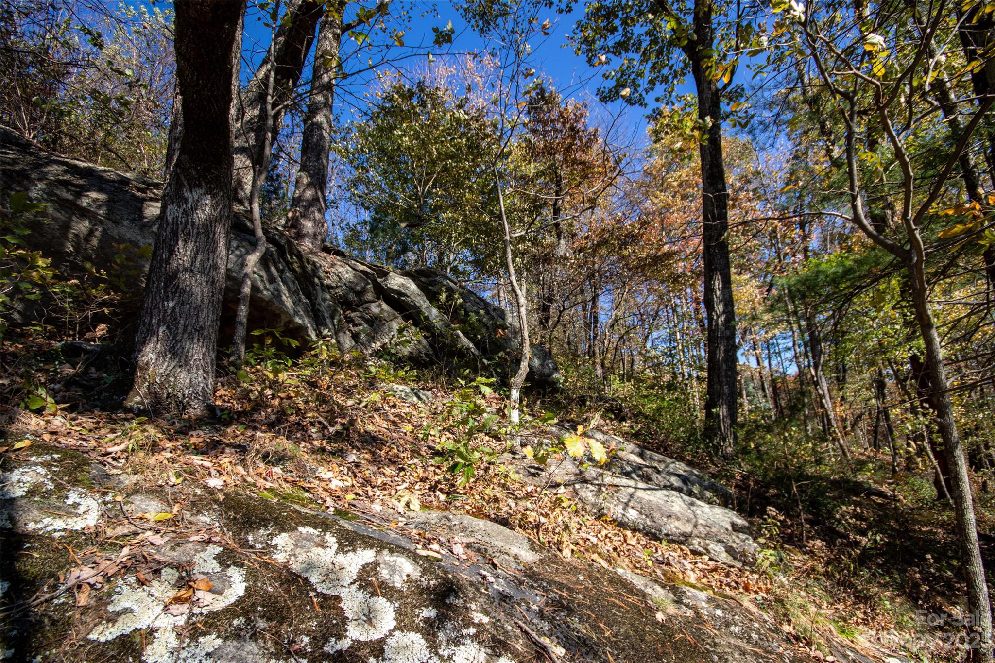 Timber Rock - Land