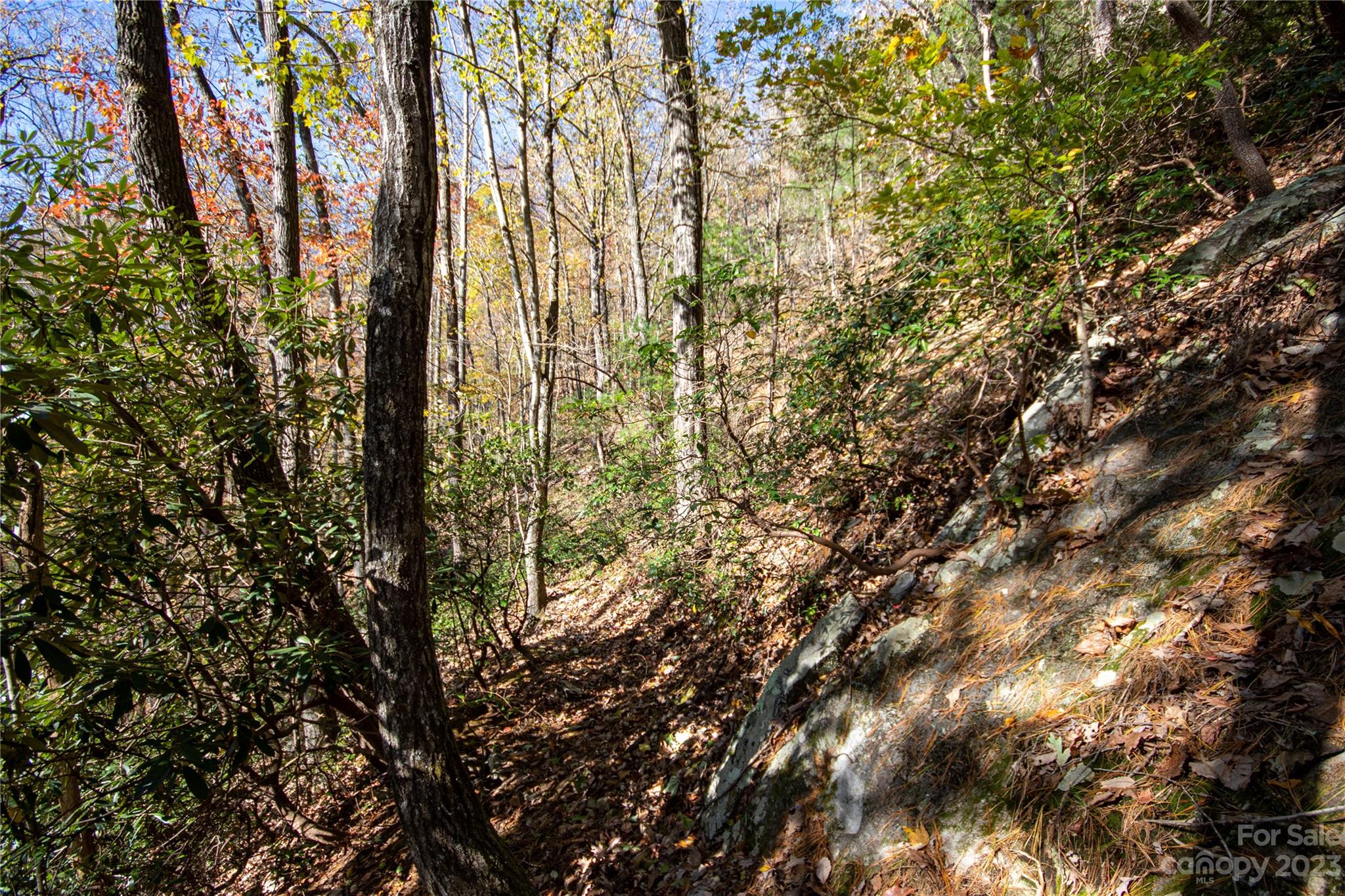 Timber Rock - Land