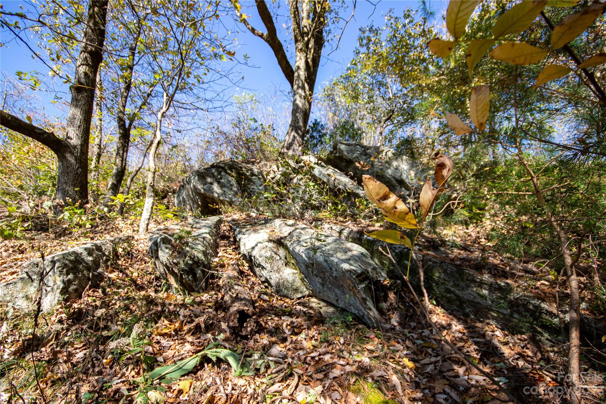 Timber Rock - Land