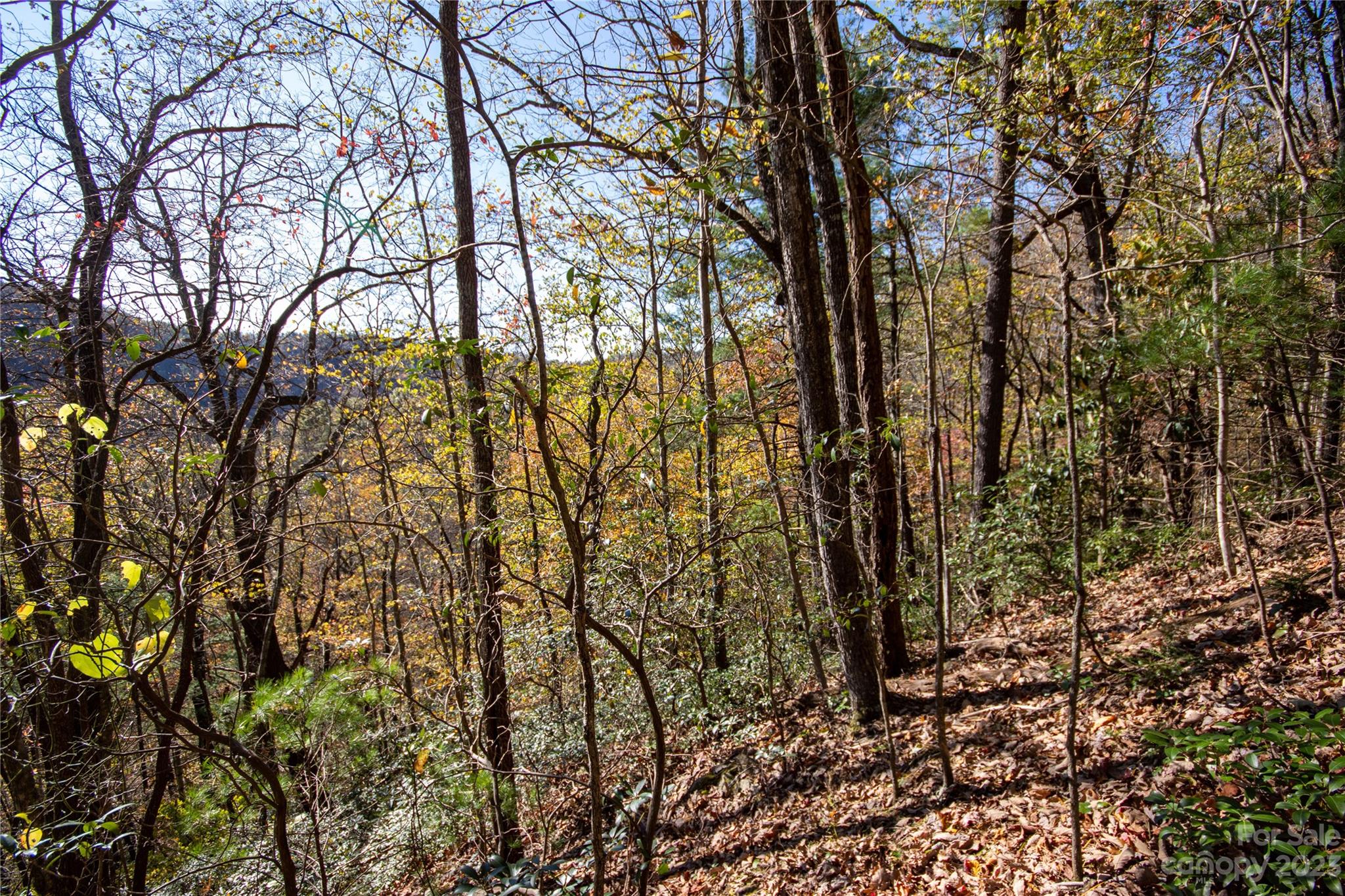 Timber Rock - Land