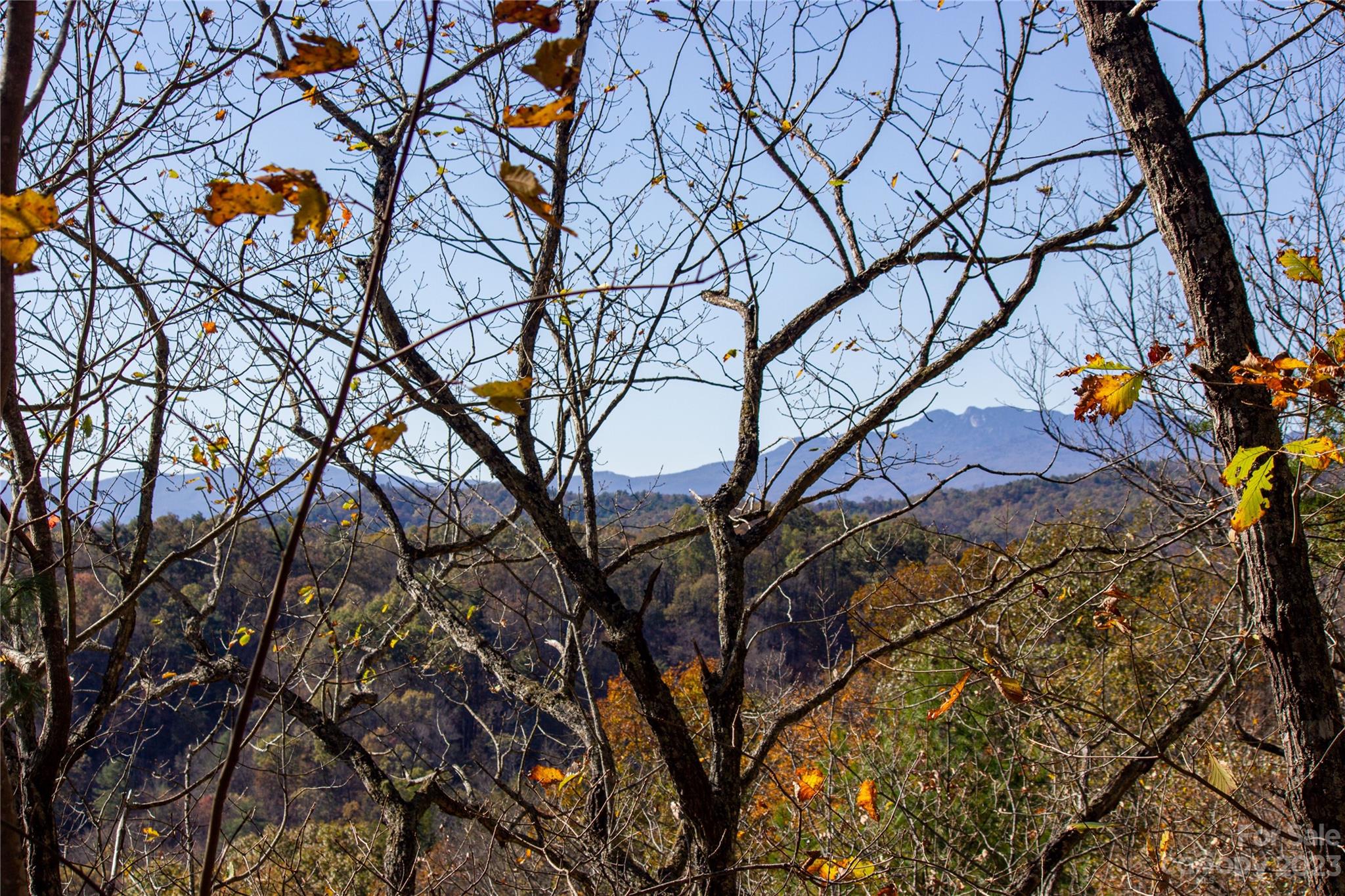 Timber Rock - Land