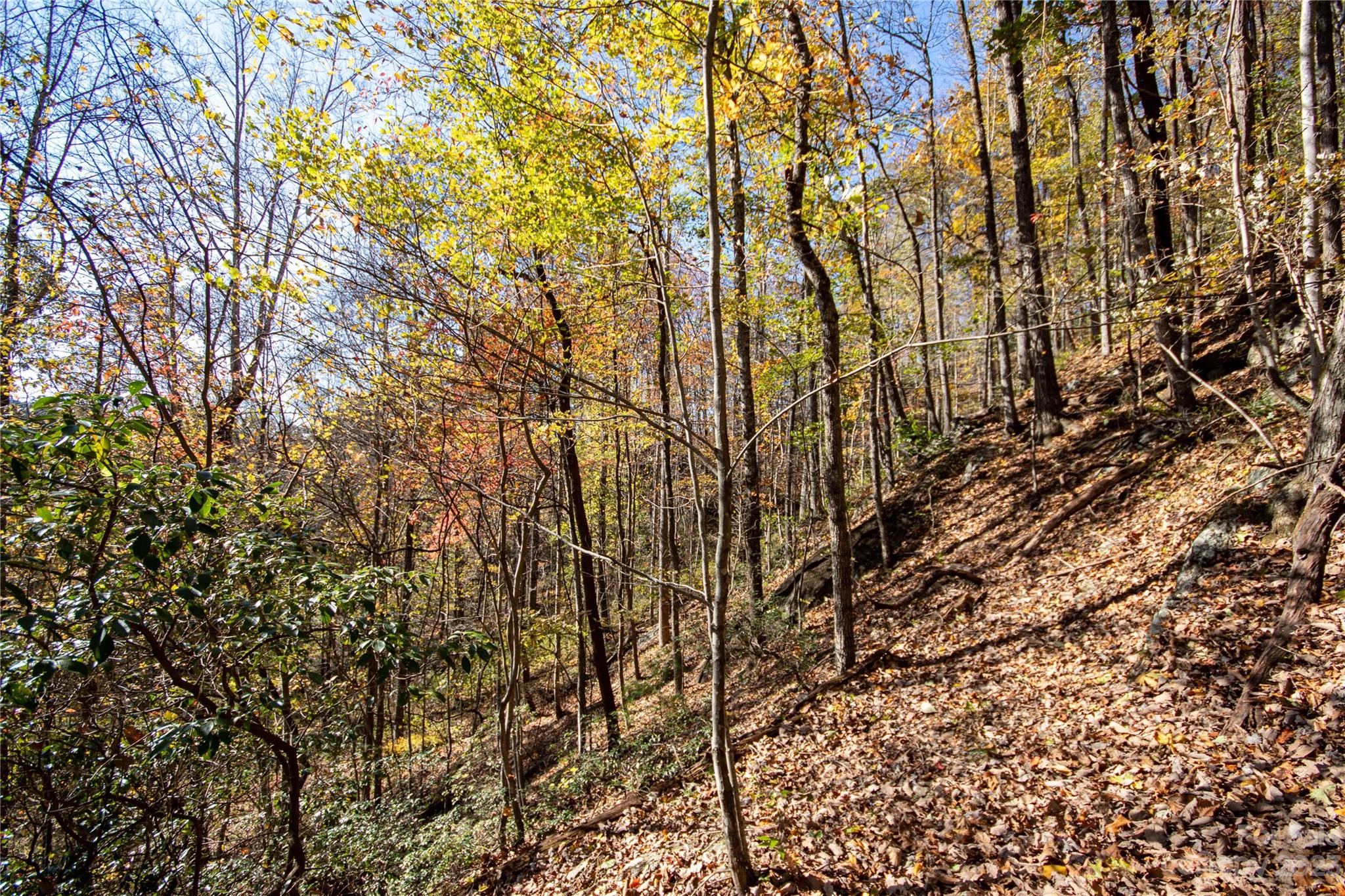 Timber Rock - Land