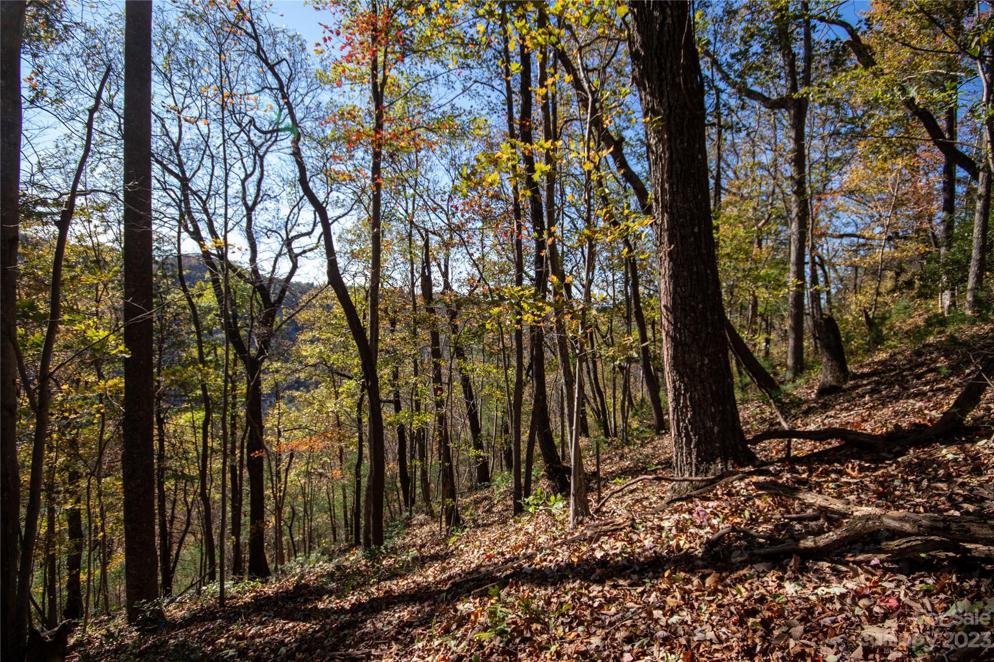 Timber Rock - Land