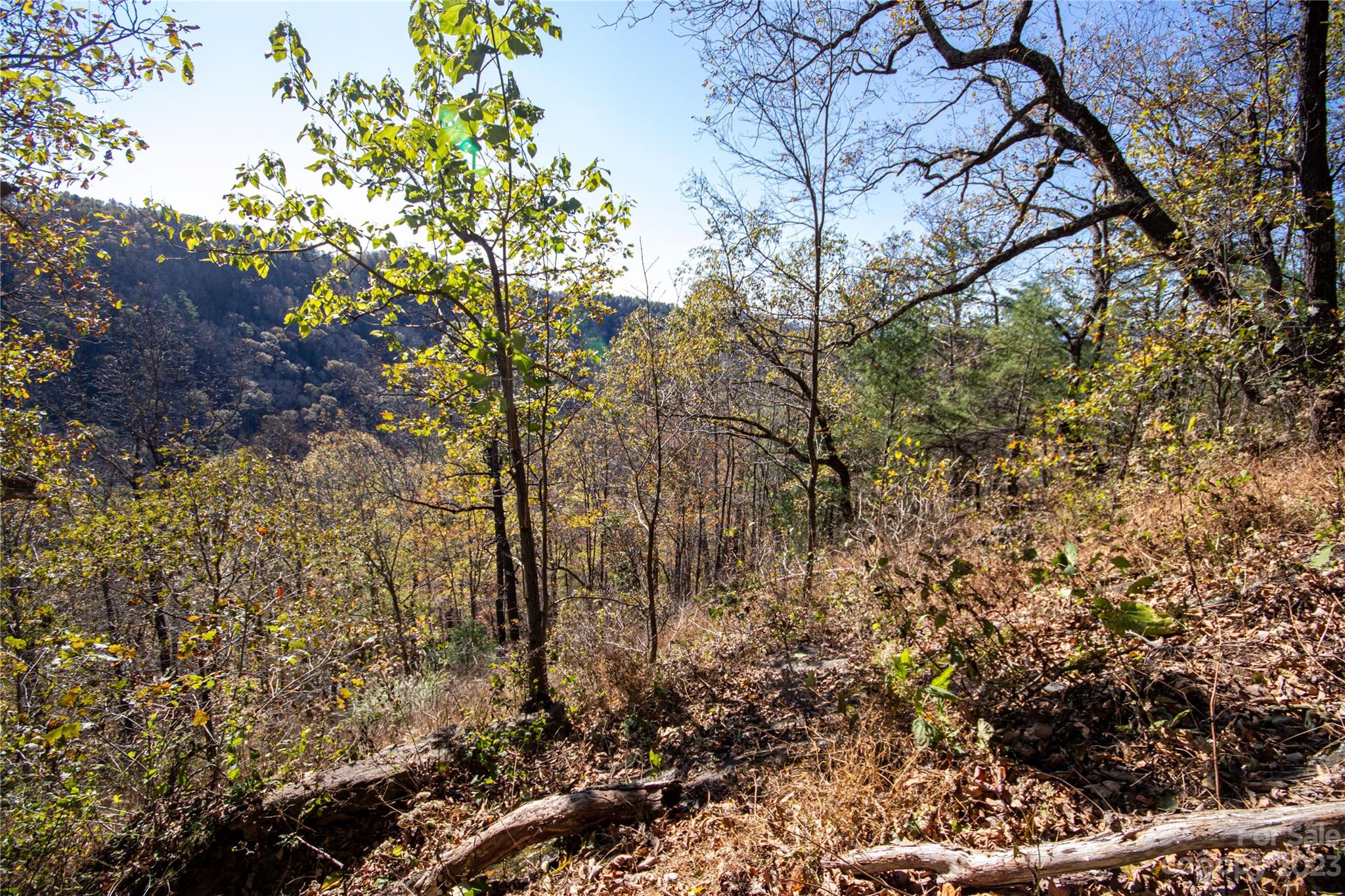 Timber Rock - Land