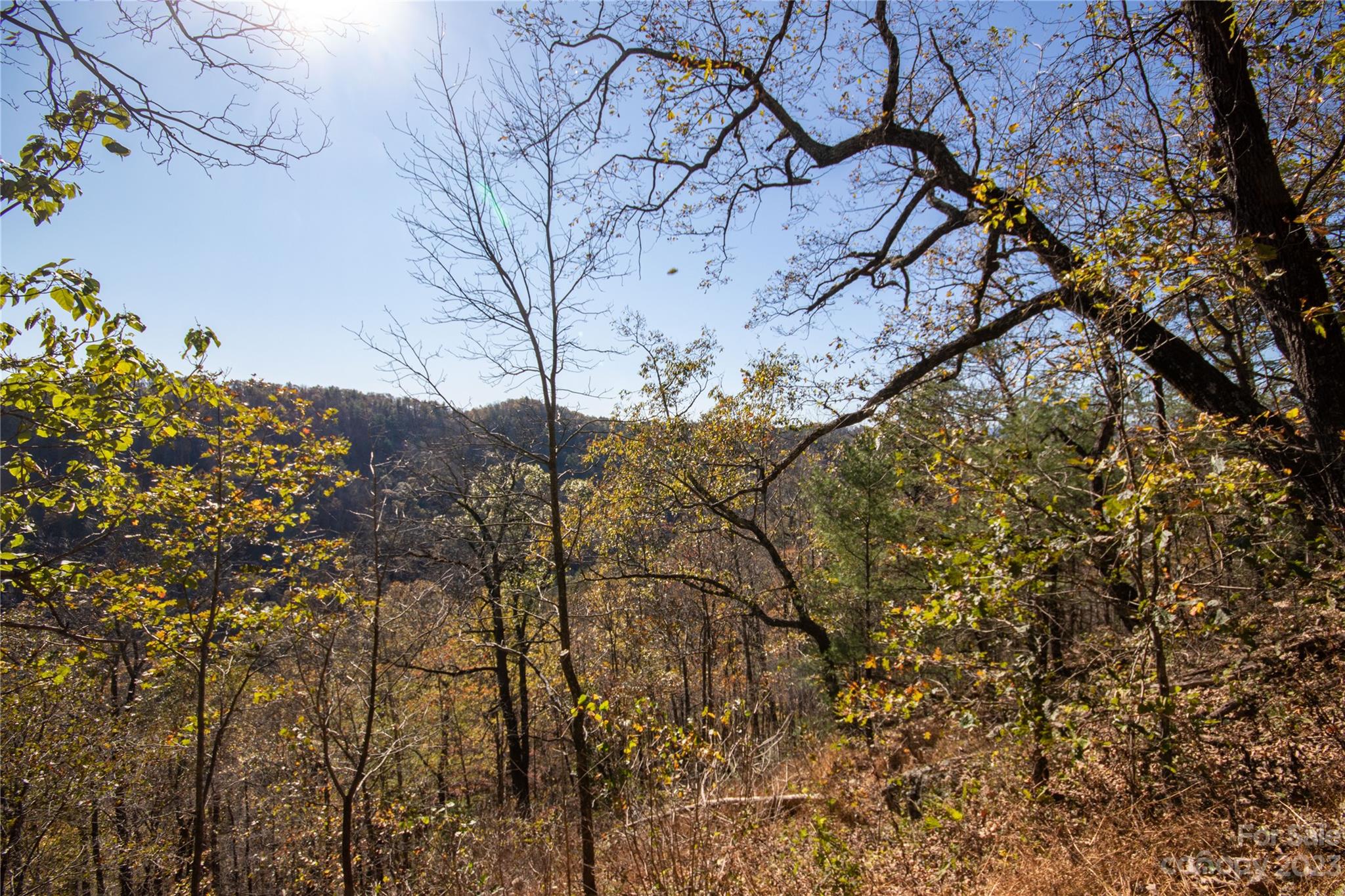 Timber Rock - Land