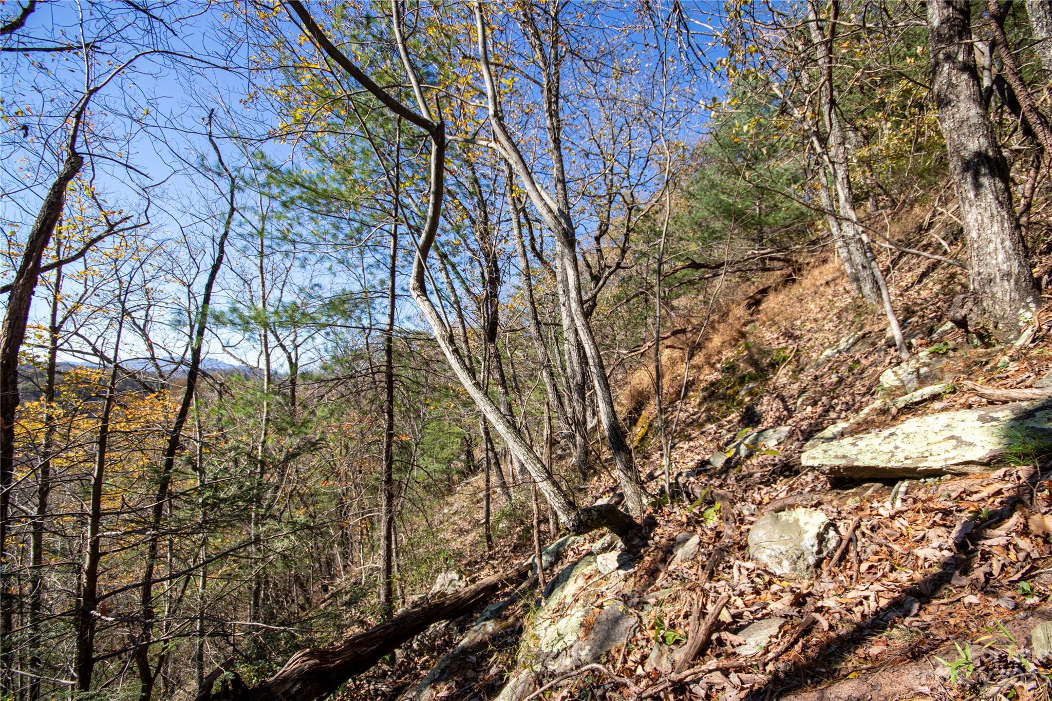 Timber Rock - Land