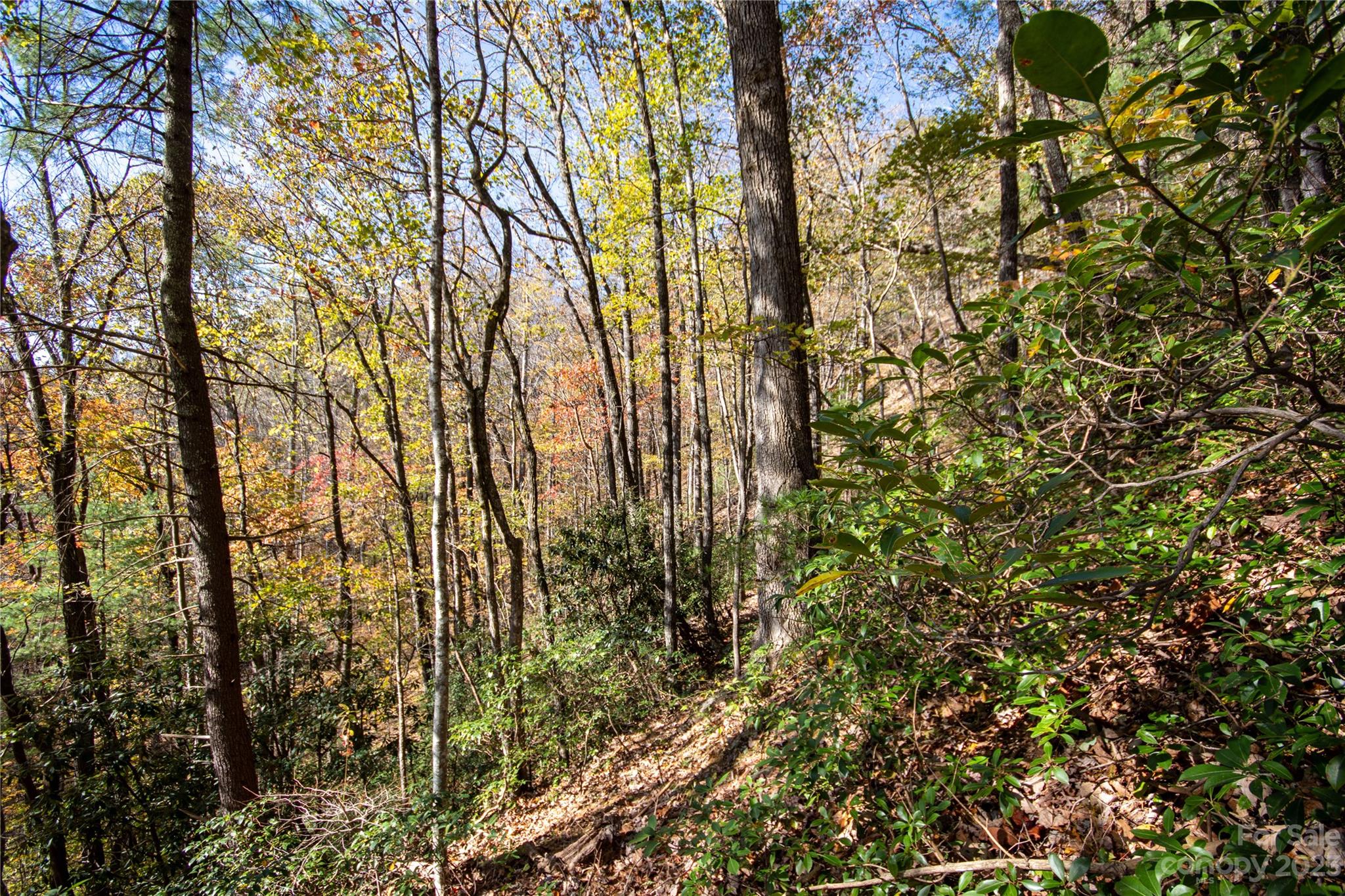 Timber Rock - Land