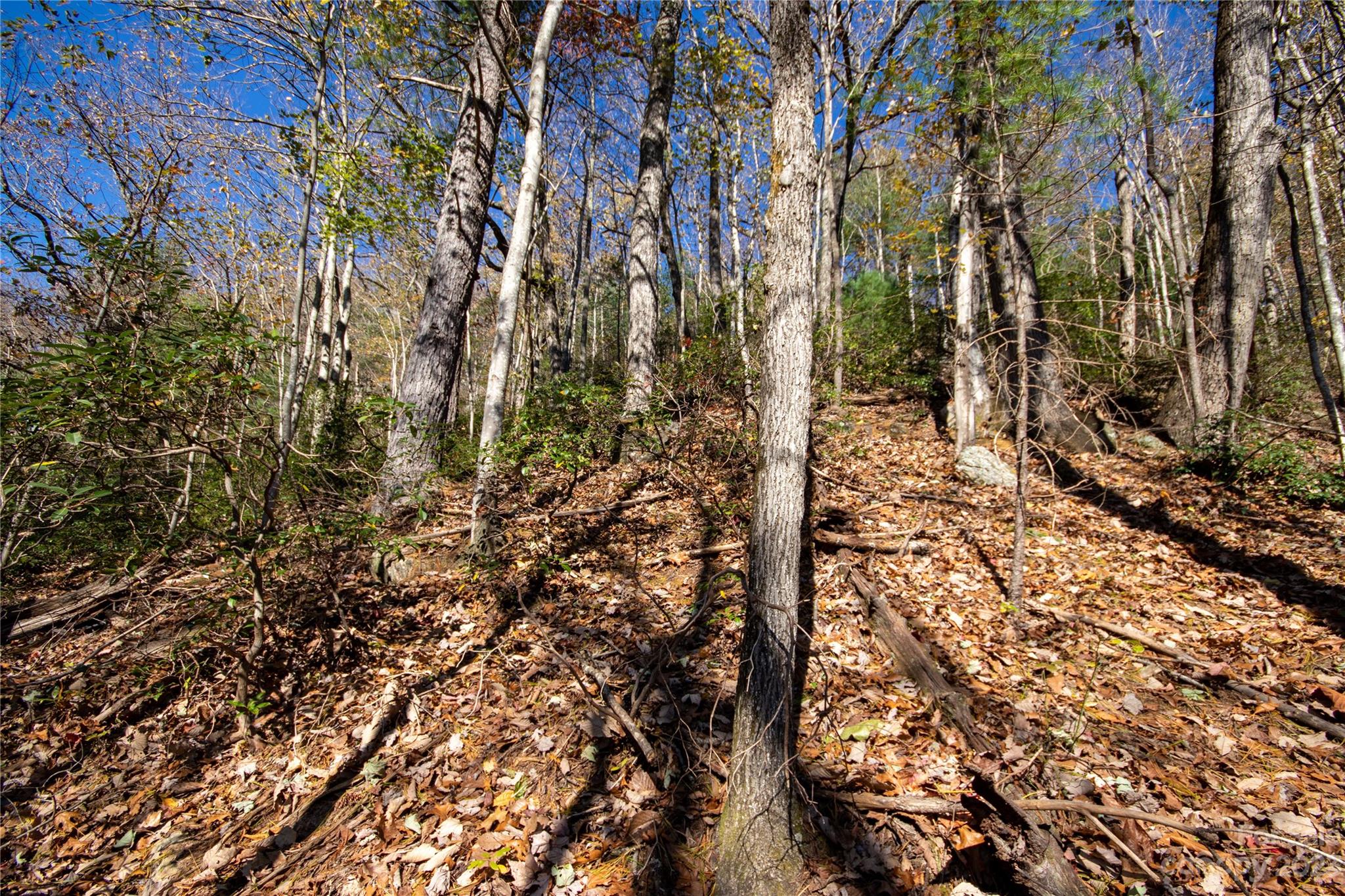 Timber Rock - Land
