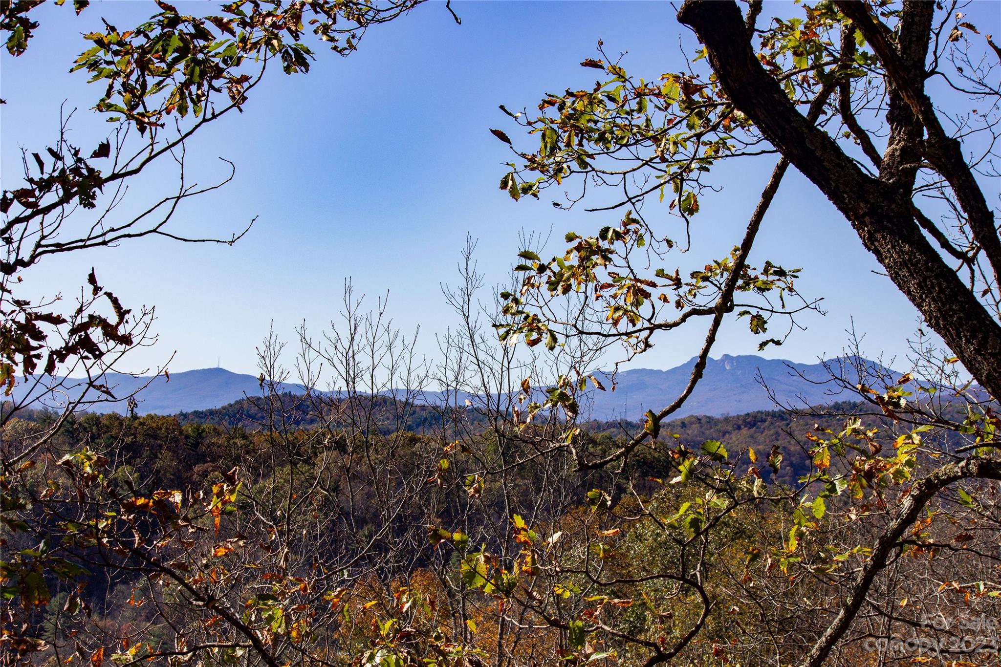 Timber Rock - Land