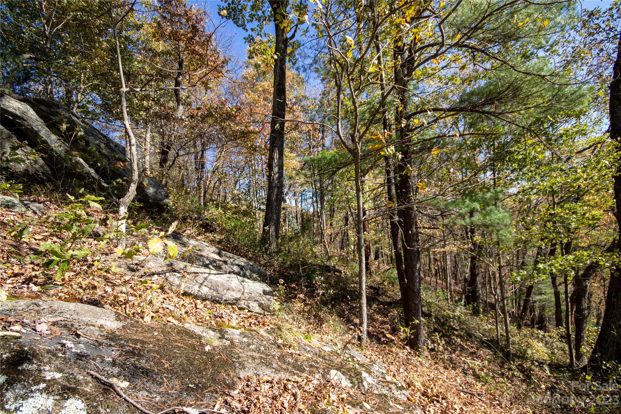Timber Rock - Land