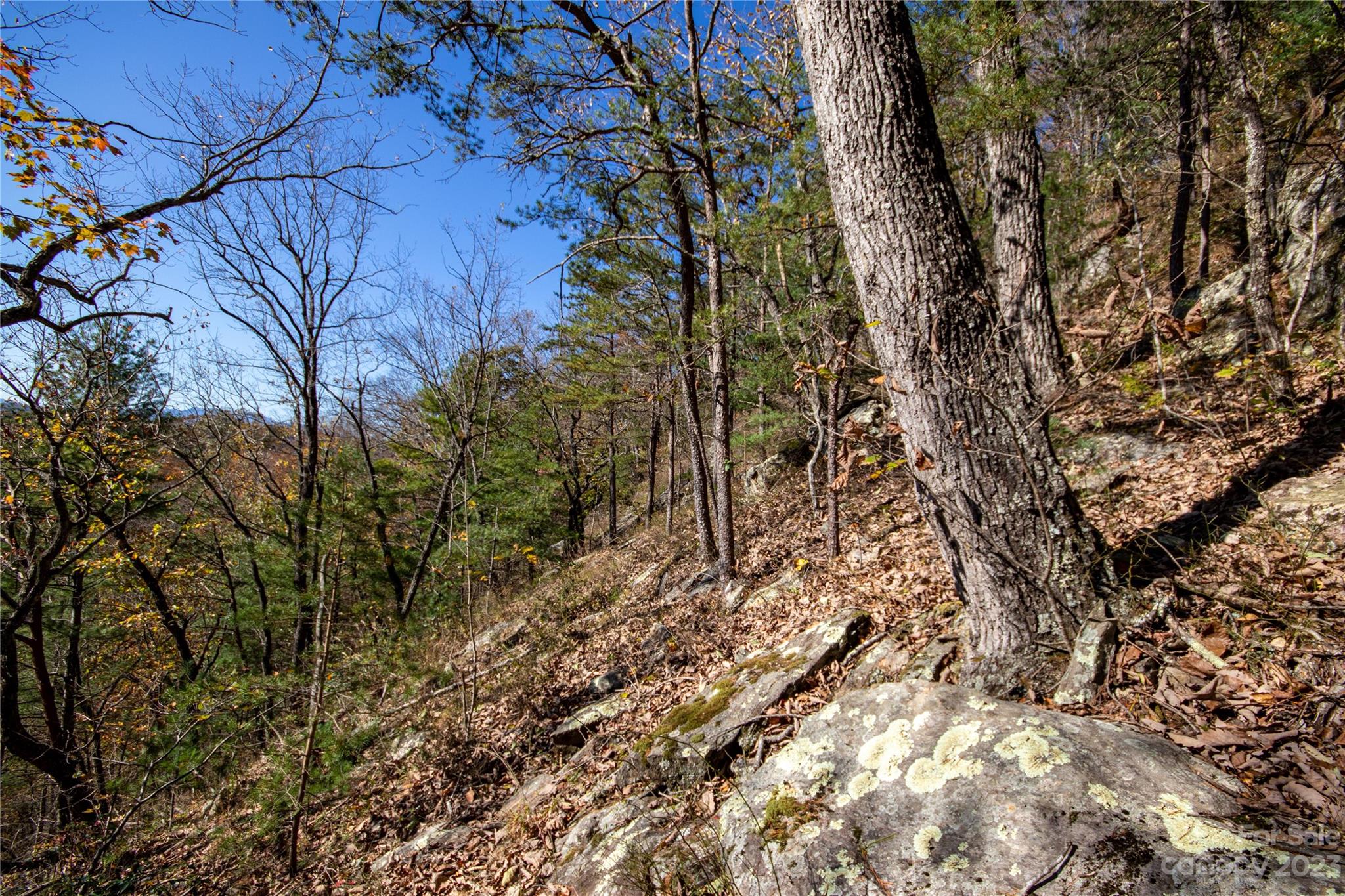 Timber Rock - Land