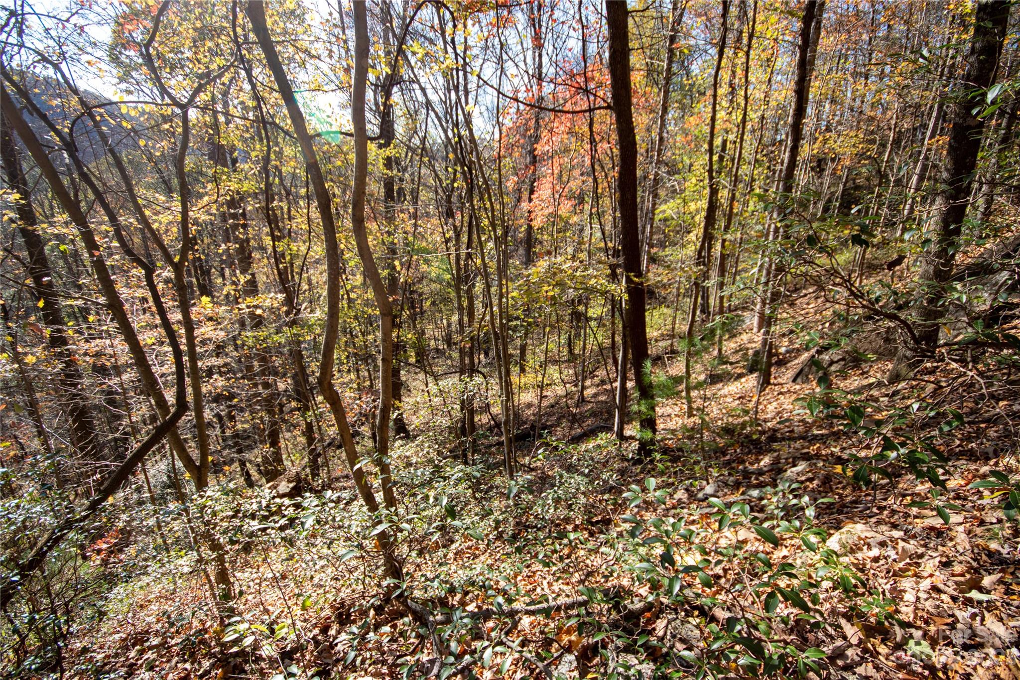 Timber Rock - Land