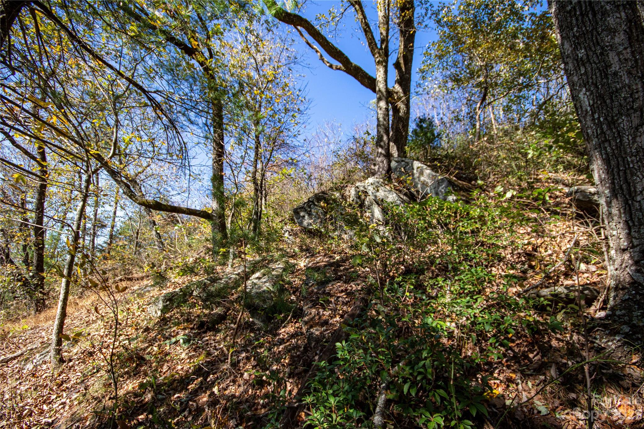 Timber Rock - Land