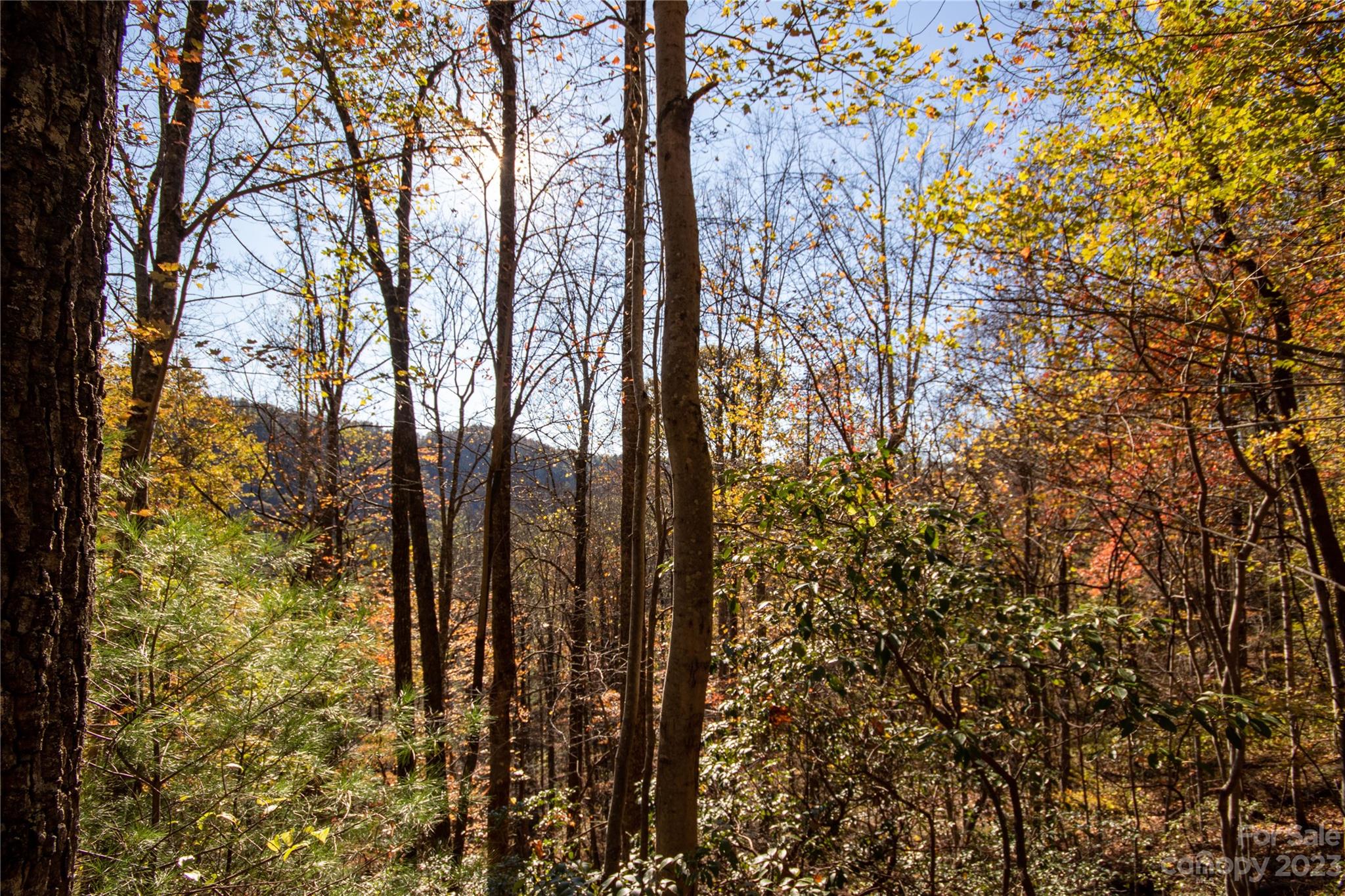 Timber Rock - Land
