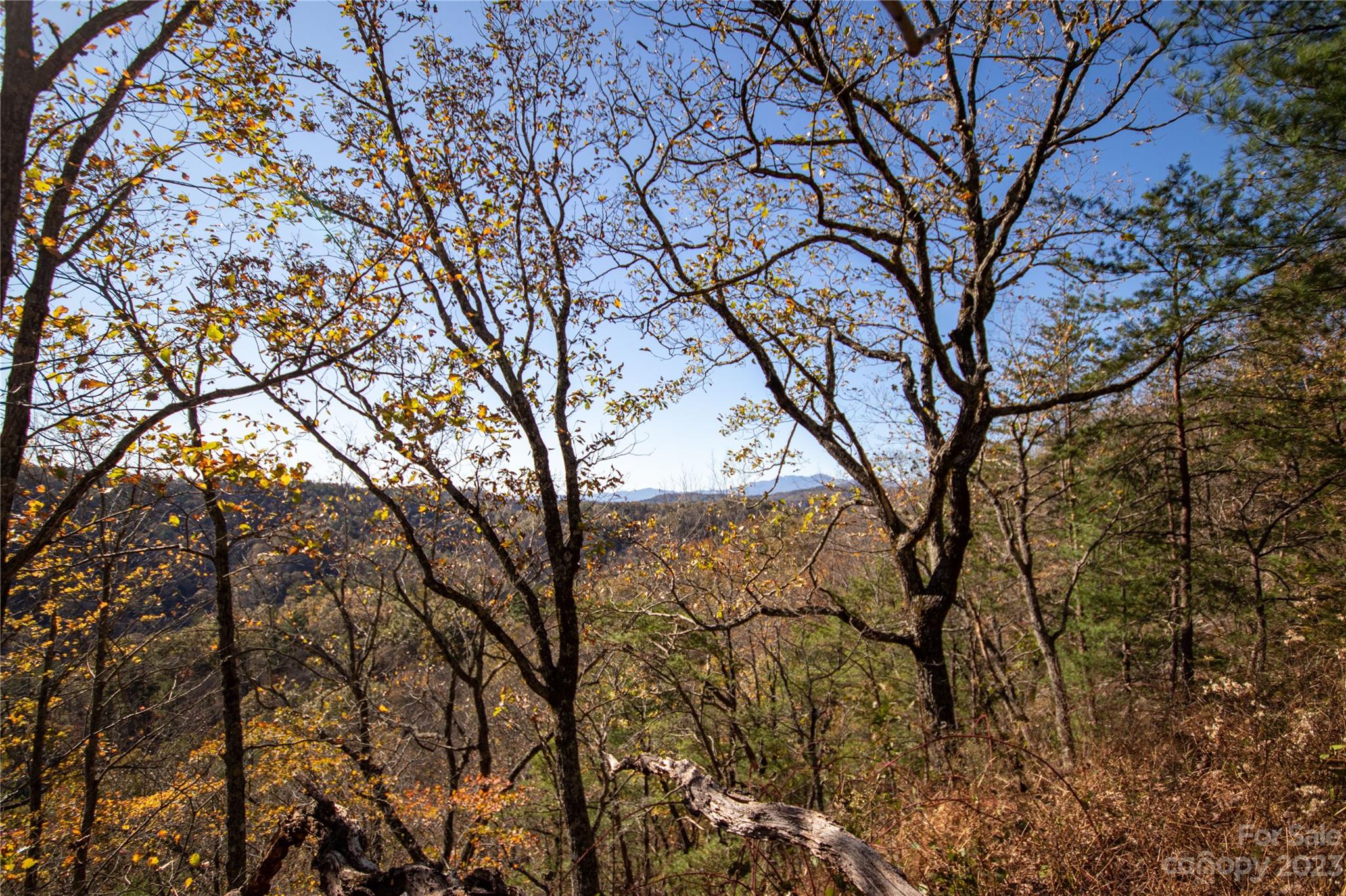 Timber Rock - Land