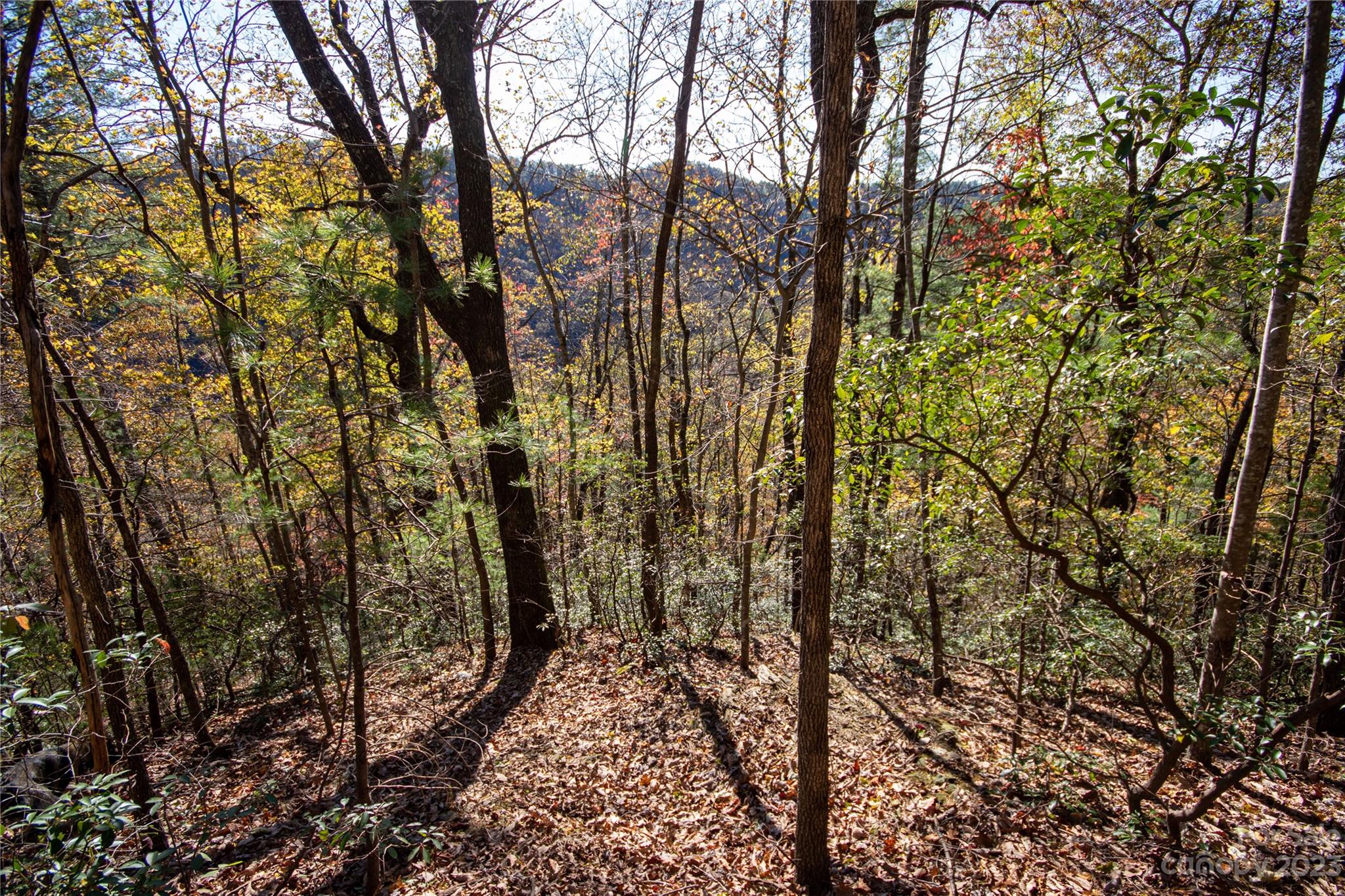 Timber Rock - Land
