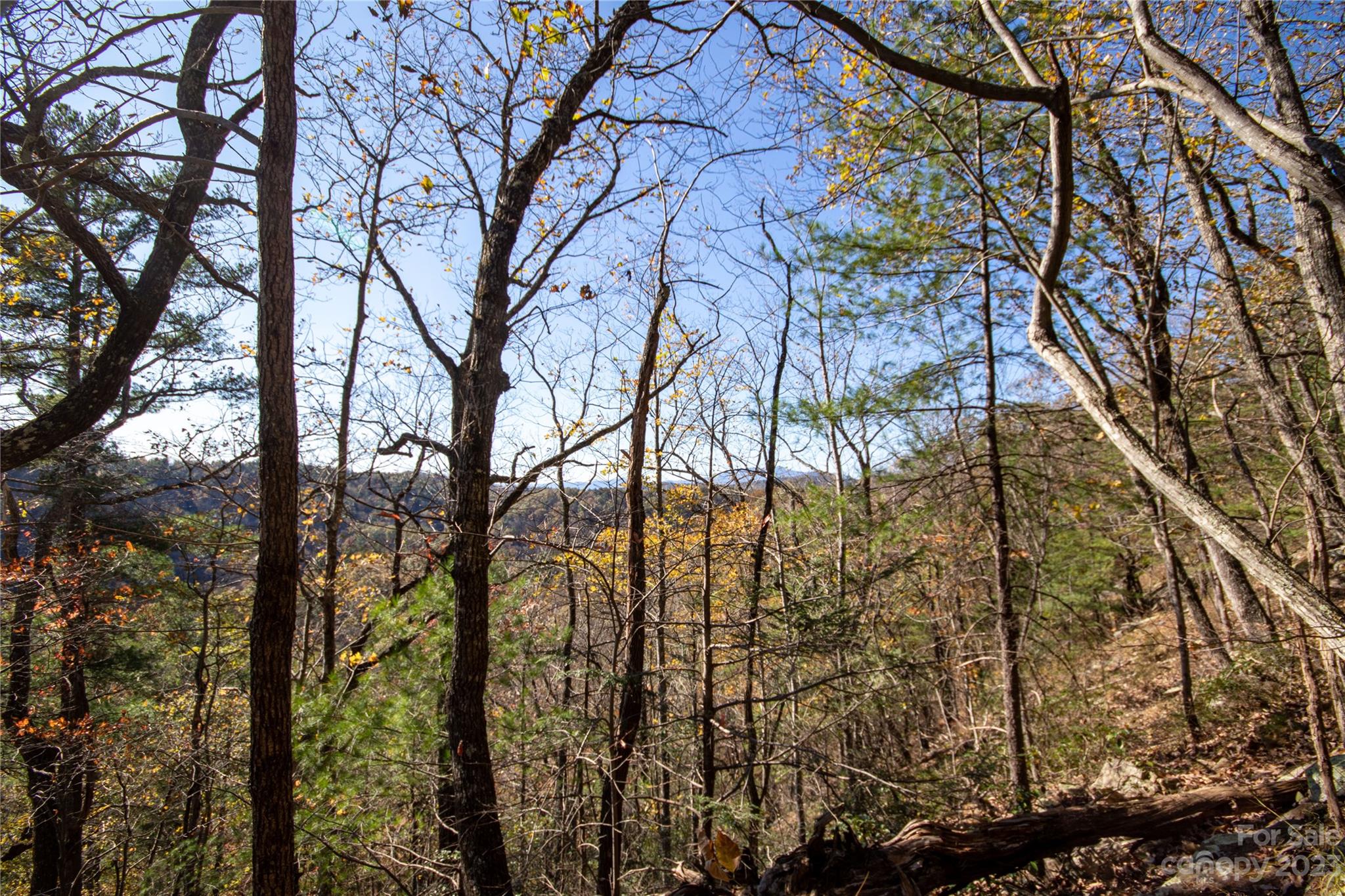 Timber Rock - Land