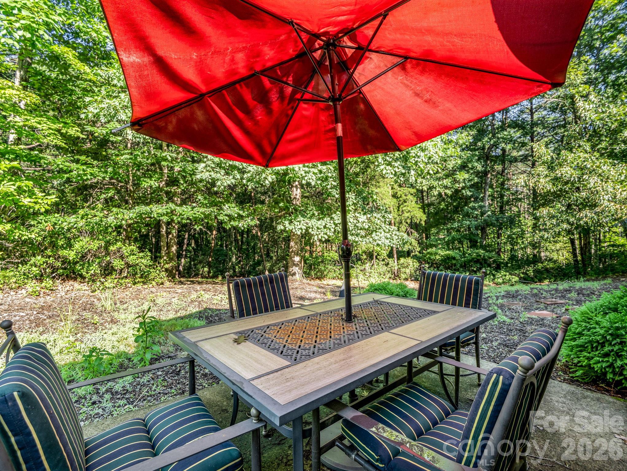 Rumbling Bald on Lake Lure - Residential