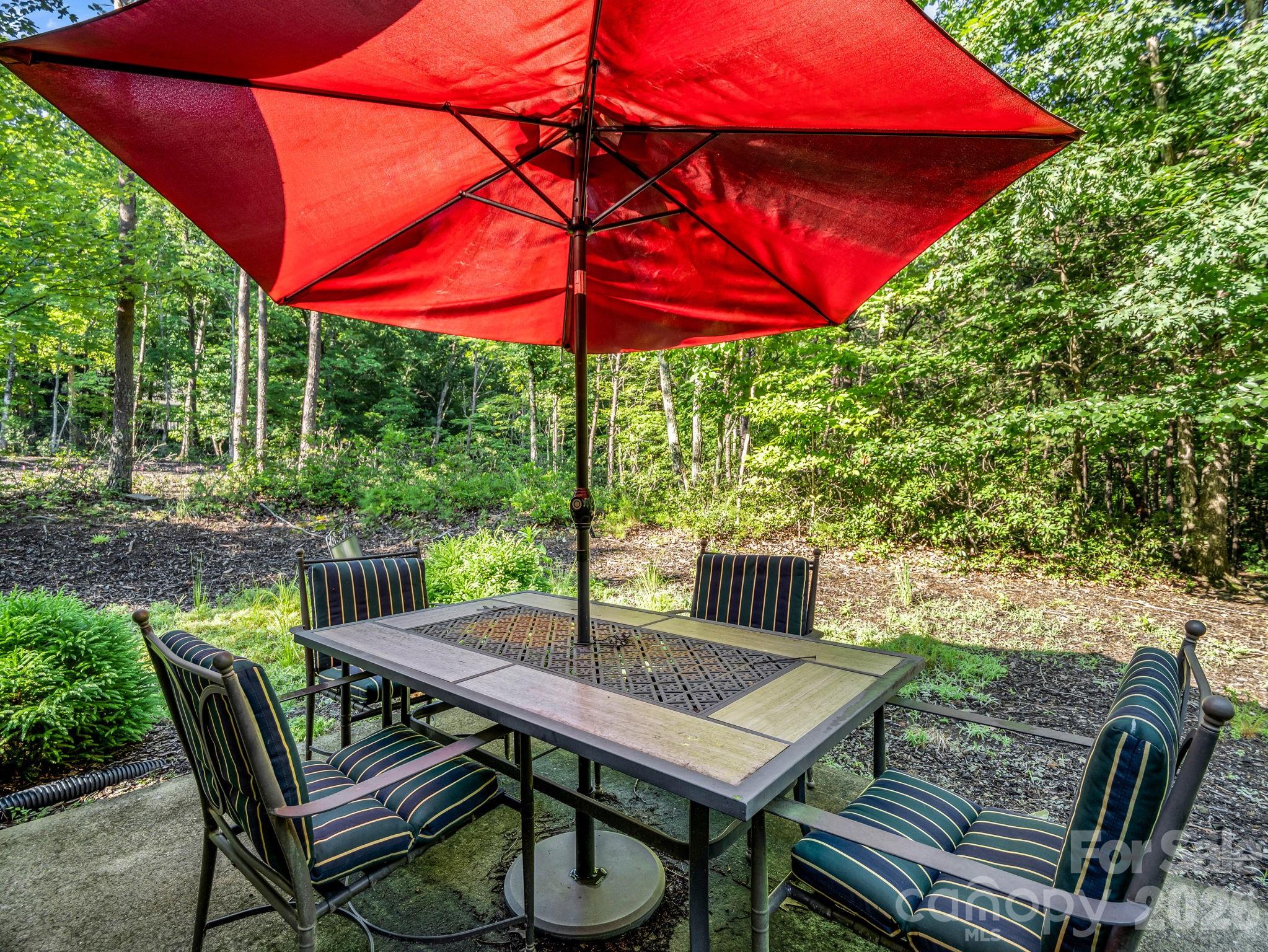 Rumbling Bald on Lake Lure - Residential