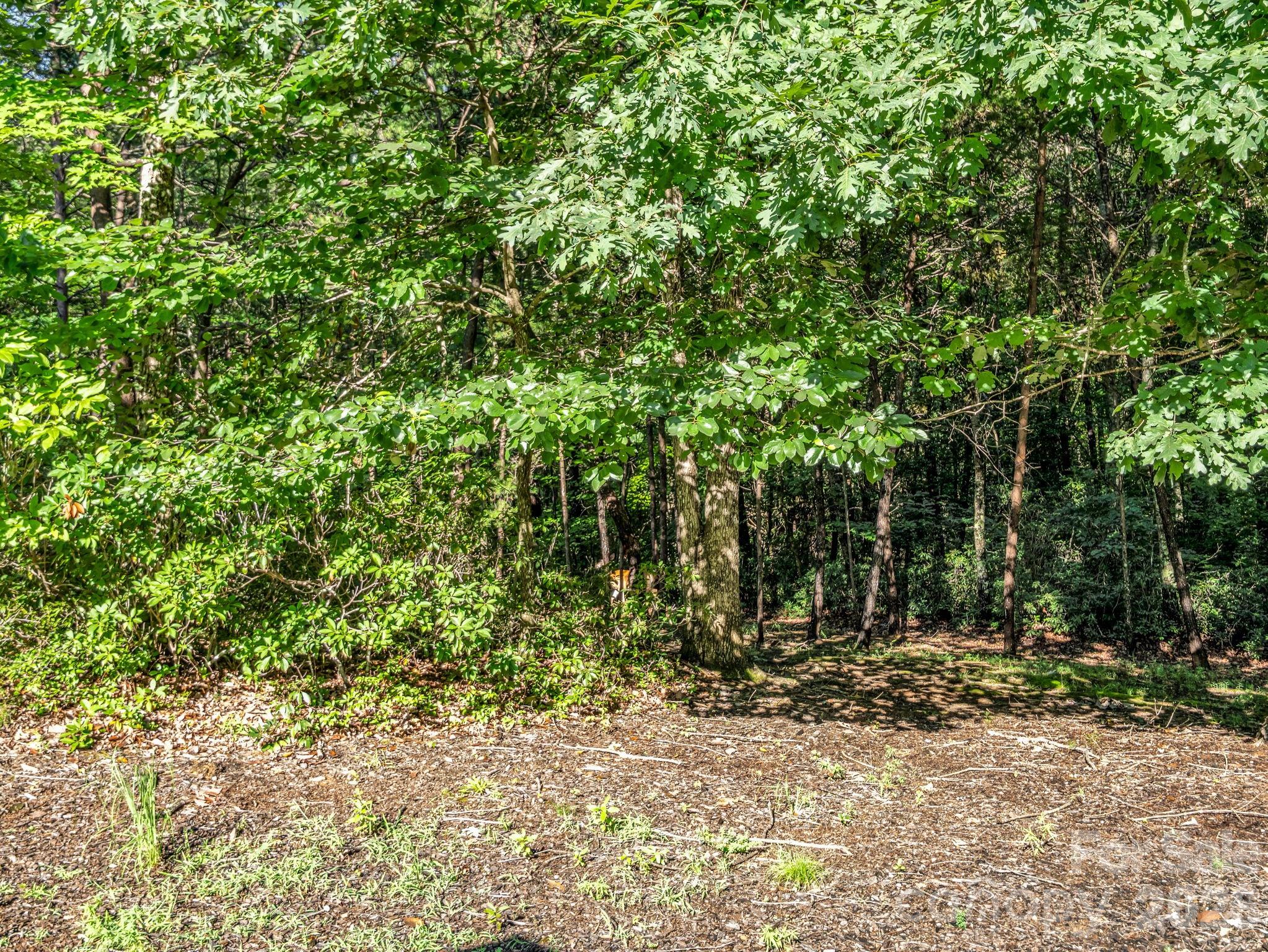 Rumbling Bald on Lake Lure - Residential