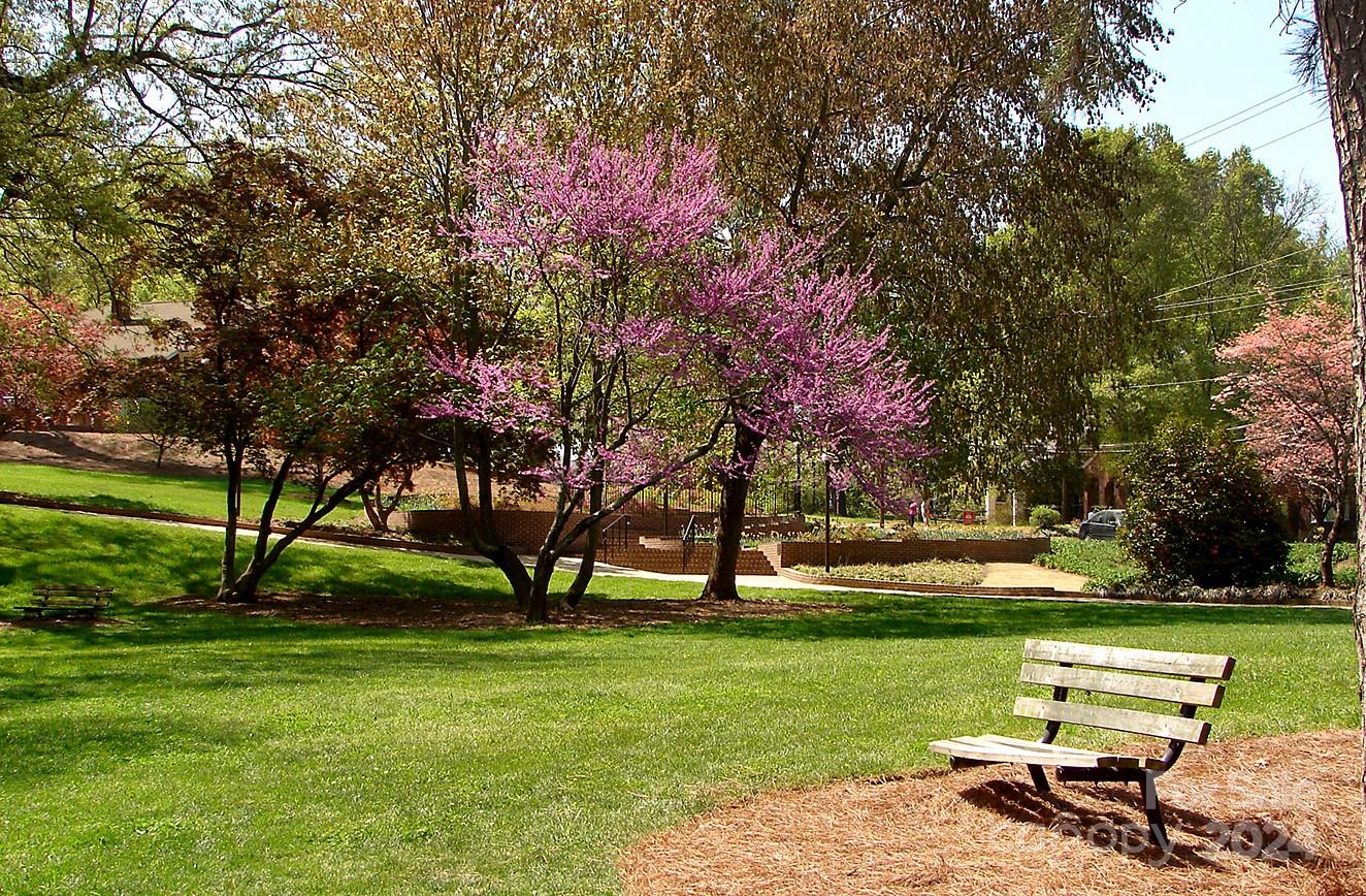 Wesley Woods - Residential