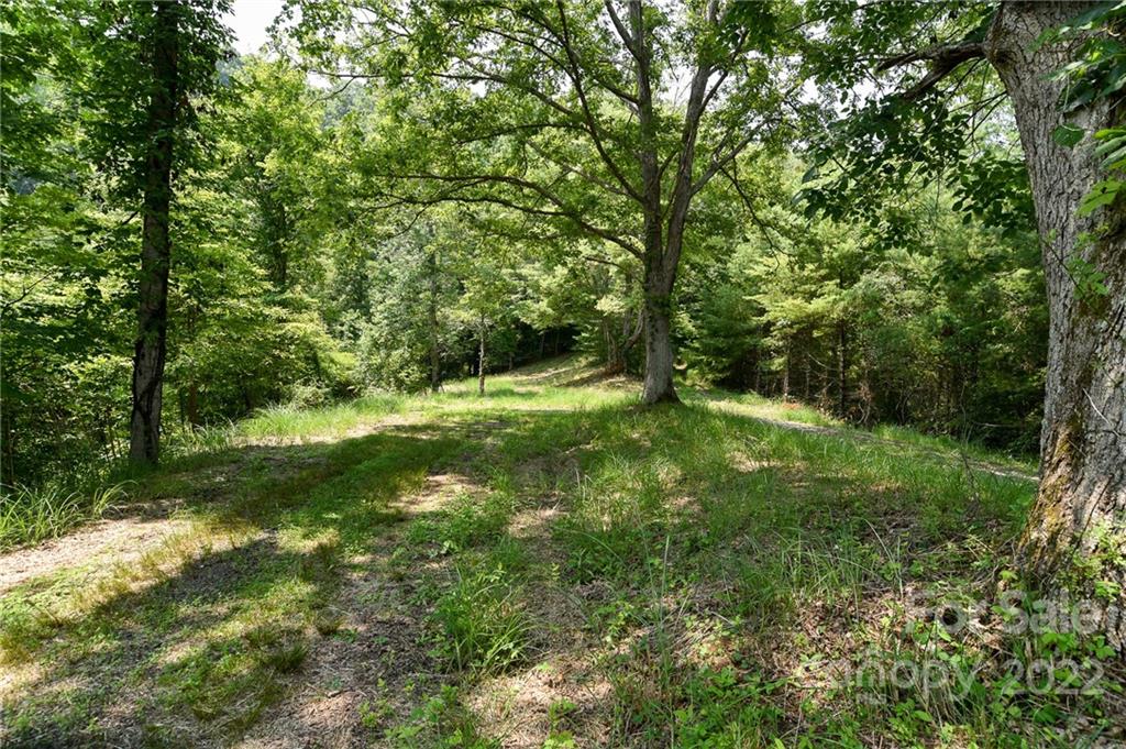 COME TAKE YOUR PICK!  Great, easy to build lots in platted subdivision.  Affordably priced!  Build confidently in this community of homes.  Has underground power and fiber optics available.  A great place to work from home!  Located between Mars Hill and Marshall, NC. Easy, convenient drive to groceries, restaurants, stores, and schools.