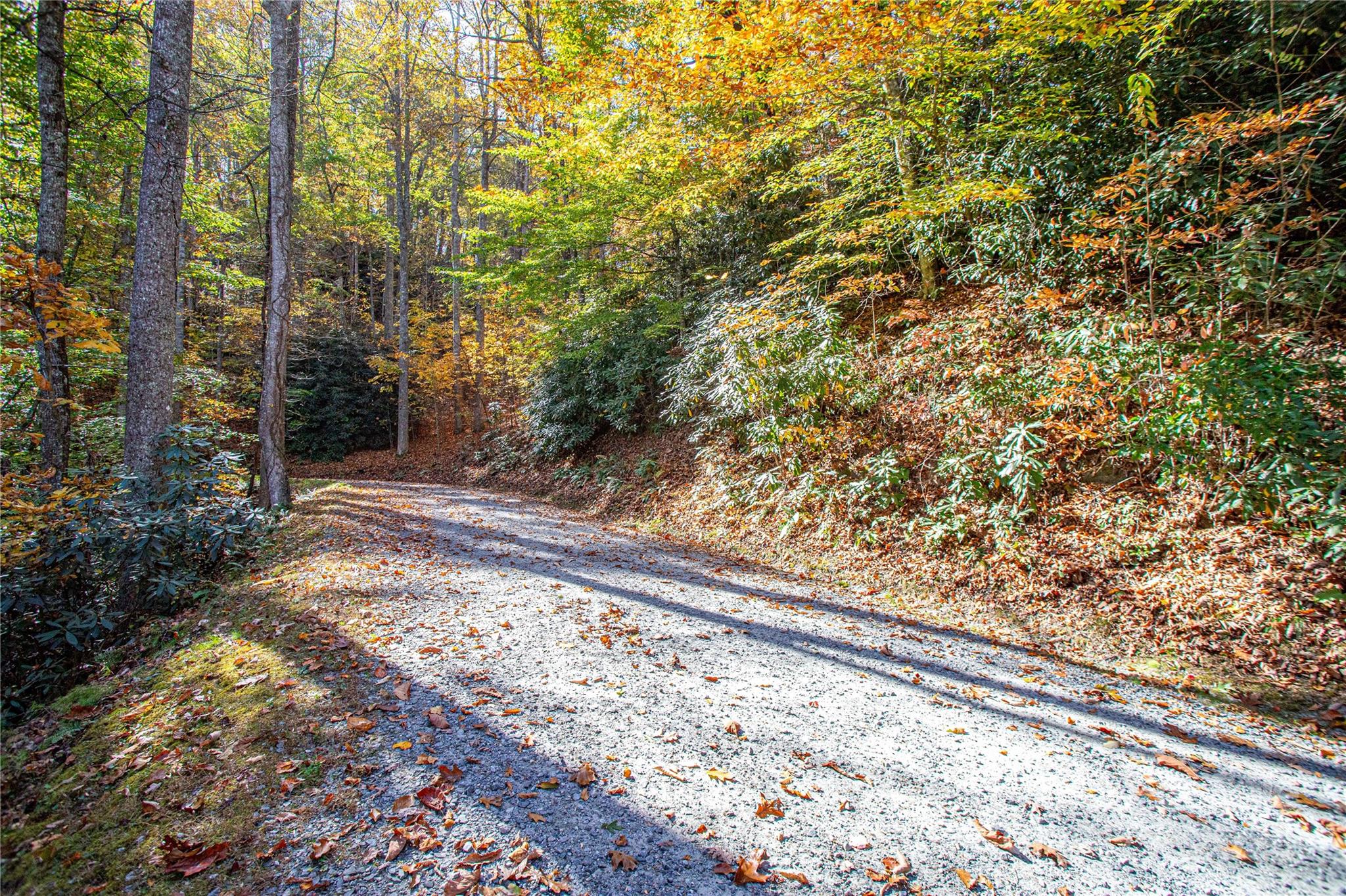 Discover over 16 acres of privacy and natural beauty within The Reserve, one of Brevard’s most distinguished gated communities. This expansive wooded tract offers endless possibilities for a private estate or mountain retreat surrounded by old-growth forest and rolling terrain. Residents of The Reserve enjoy paved roads, a peaceful setting, and proximity to Dupont State Forest, Pisgah National Forest, and downtown Brevard. The lot requires a private well and septic system (permit application pending) and is subject to community covenants ensuring architectural harmony and preservation of the area’s mountain character. With over 16 acres to explore, this property provides both seclusion and convenience—a rare combination in Transylvania County.