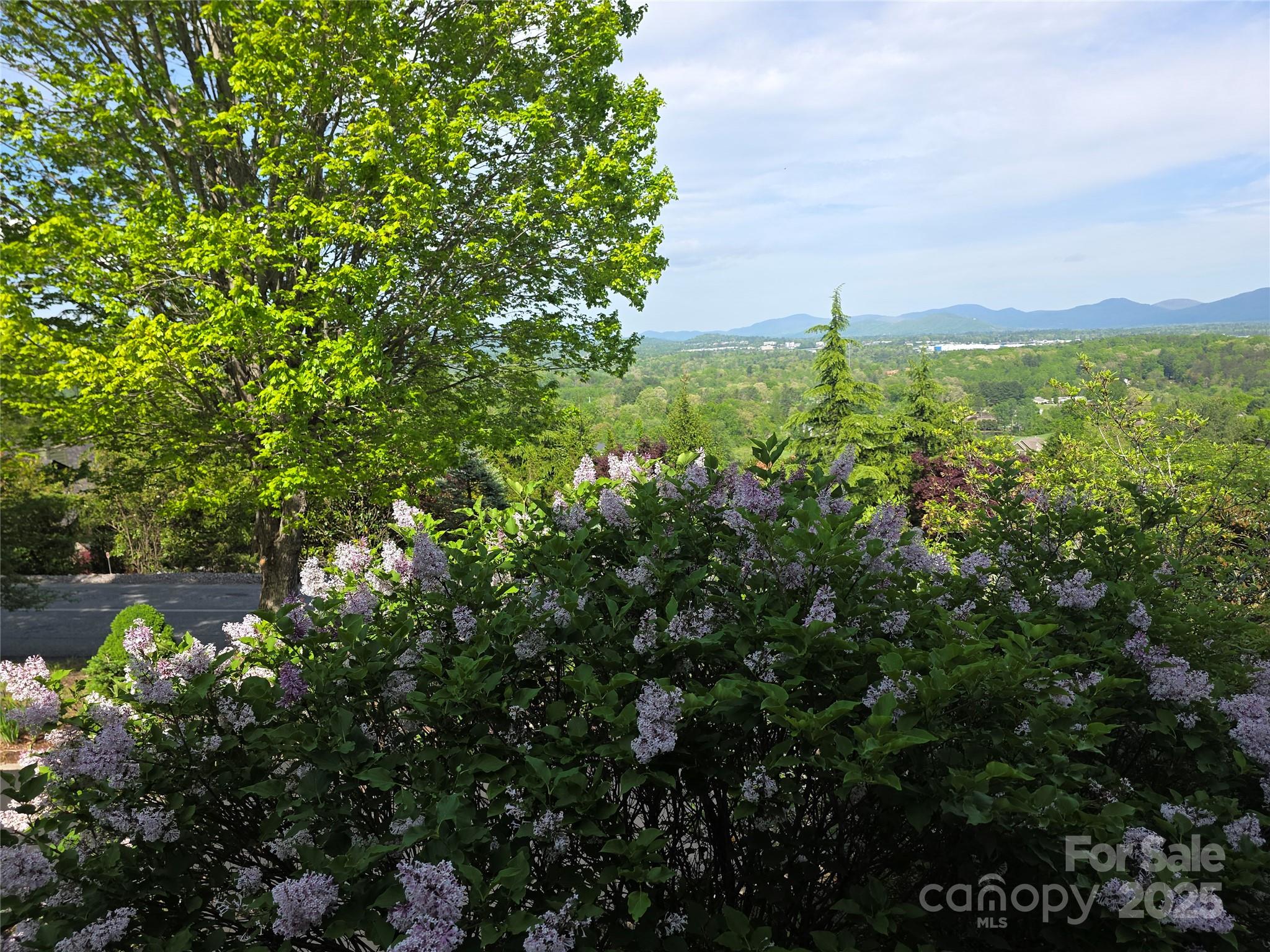 High Vista - Land