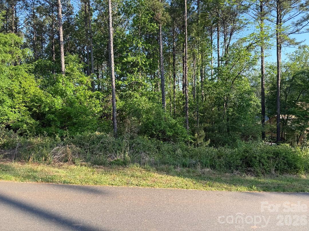 Ready to build your custom dream home on a premium lot available in the prestigious Riverchase luxury community. This exceptional homesite offers far more than just a place to build—it provides the setting for a truly remarkable lifestyle.
 
Nestled front section of the community, the lot is heavily wooded for privacy, relatively flat, and backs directly to nature preserve, creating breathtaking wildlife views and a serene, retreat-like atmosphere. Riverchase offers resort-style amenities including a multimillion-dollar clubhouse featuring a grand banquet hall and patio with an outdoor fireplace—perfect for entertaining friends and clients. Enjoy the stunning freeform pool, state-of-the-art fitness center, tennis and basketball courts, scenic nature trails, picnic areas, and playground. Outdoor enthusiasts will appreciate direct access points for kayaking or fishing on the Catawba River. 

Bring your own builder or choose from Riverchase Estate’s preferred builders, including TK Construction and Commonwealth Custom Homes, to bring your vision to life. No build time requirements. Live surrounded by nature while enjoying luxury amenities—life here truly feels like royalty.

The lot was previously perked for a five-bedroom home in 2017. The septic test and permit have since expired and a new soil test and septic permit will be required.