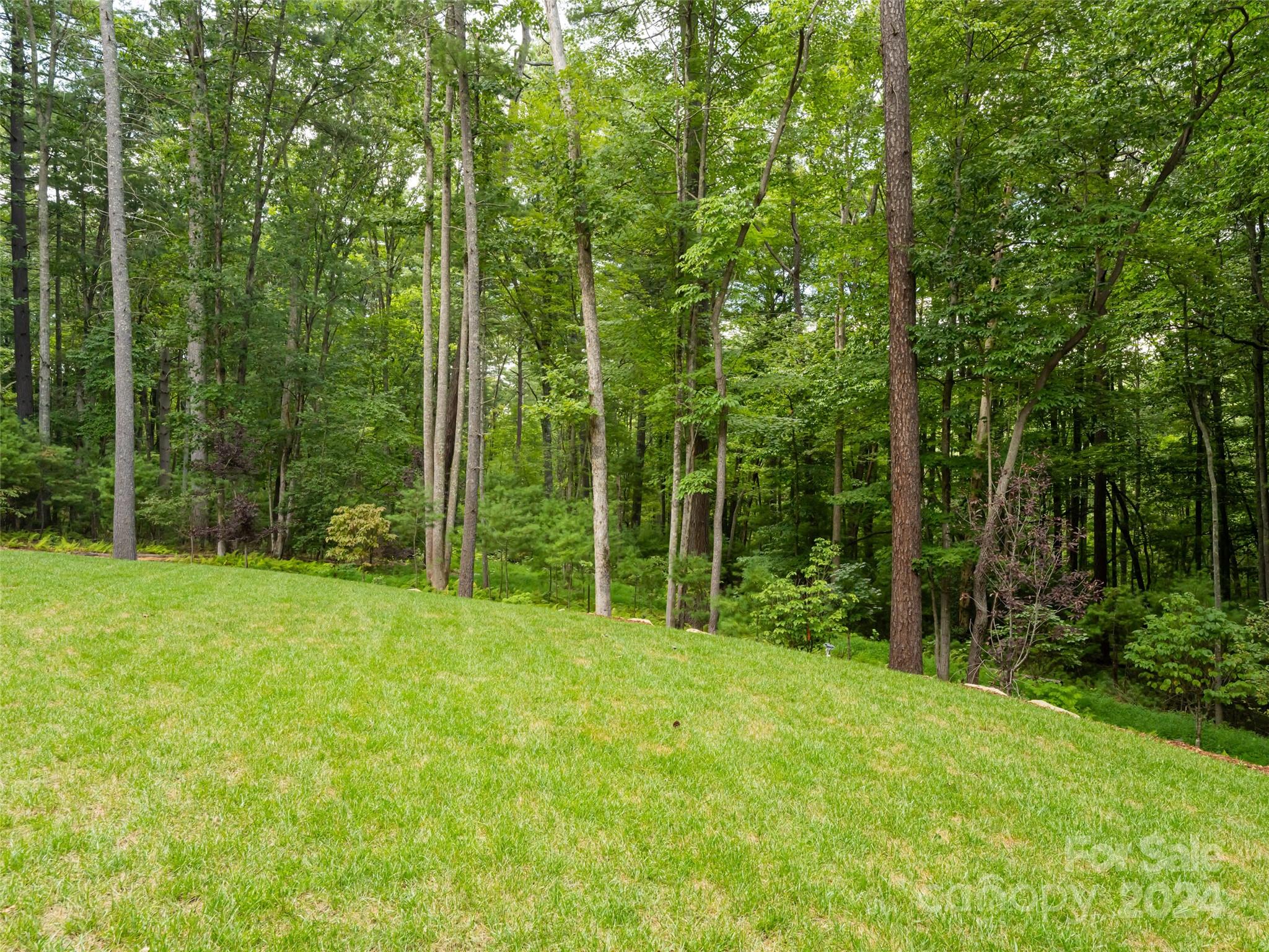 Ramble Biltmore Forest - Residential