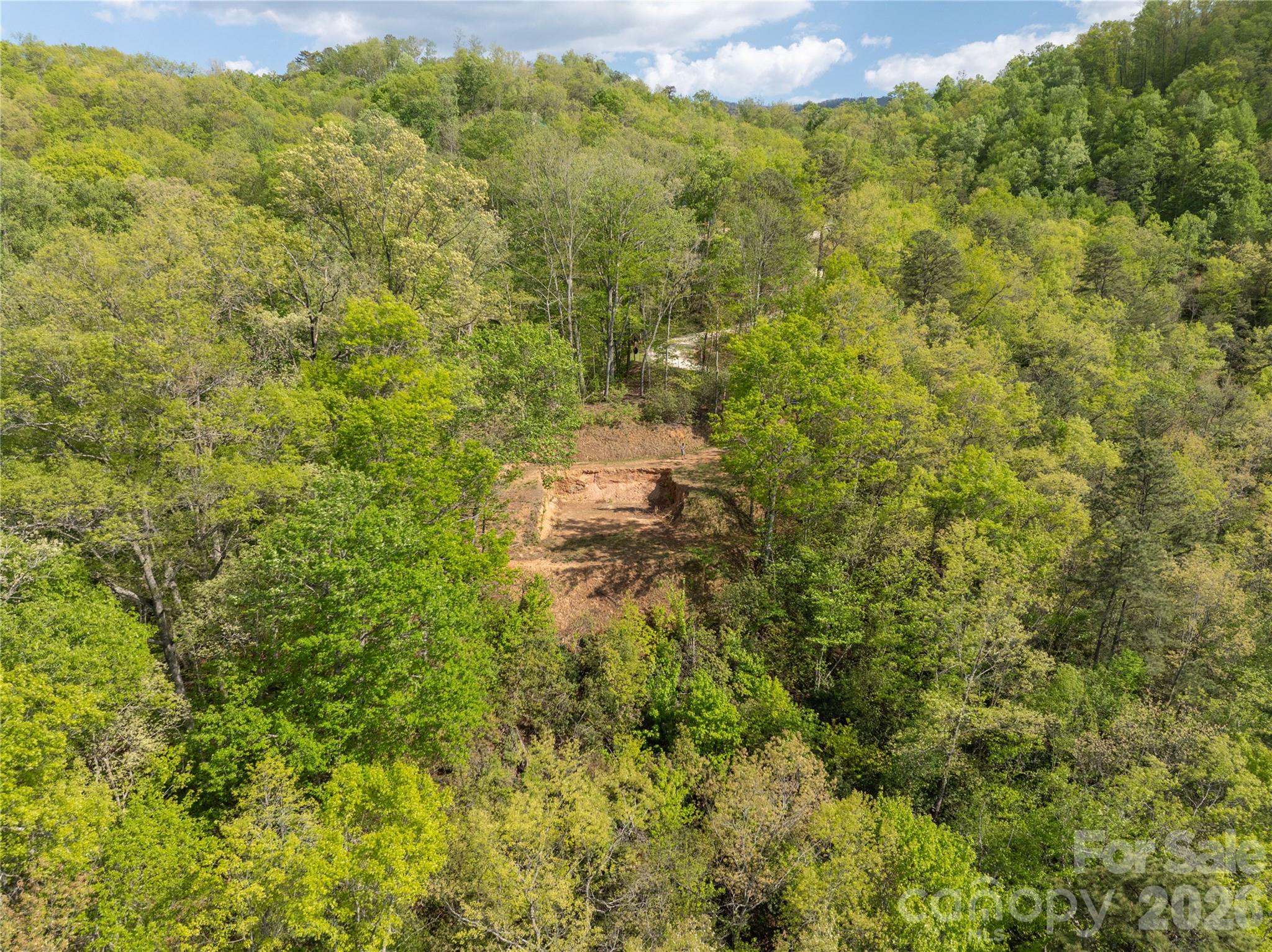Bryson Gap Preserve - Land