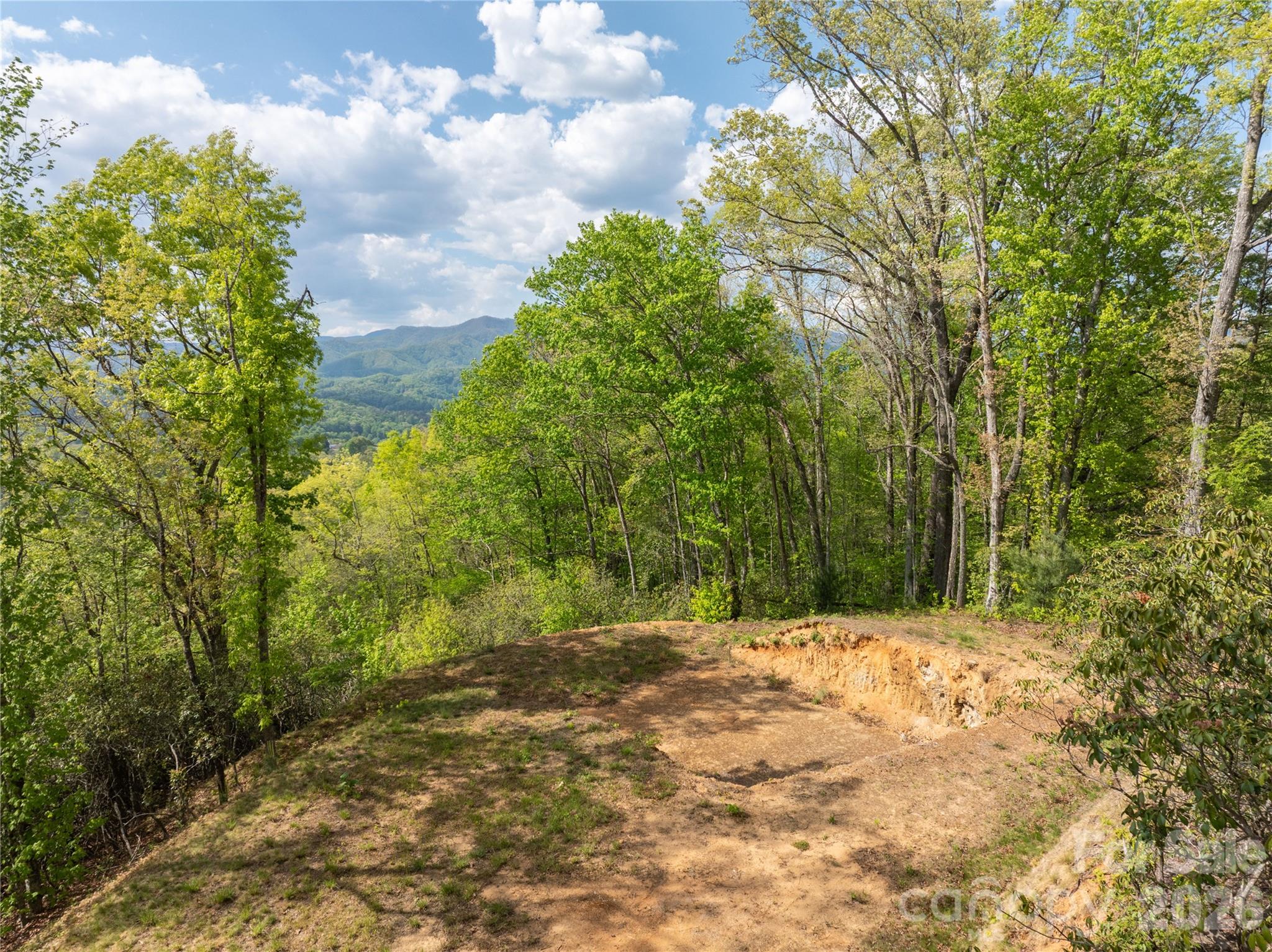 Bryson Gap Preserve - Land