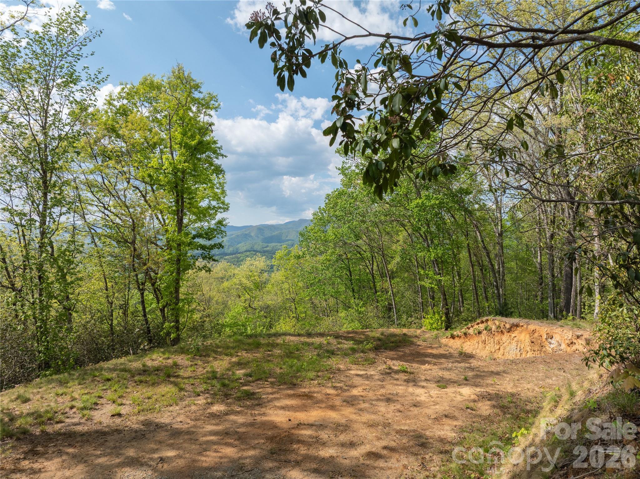 Bryson Gap Preserve - Land