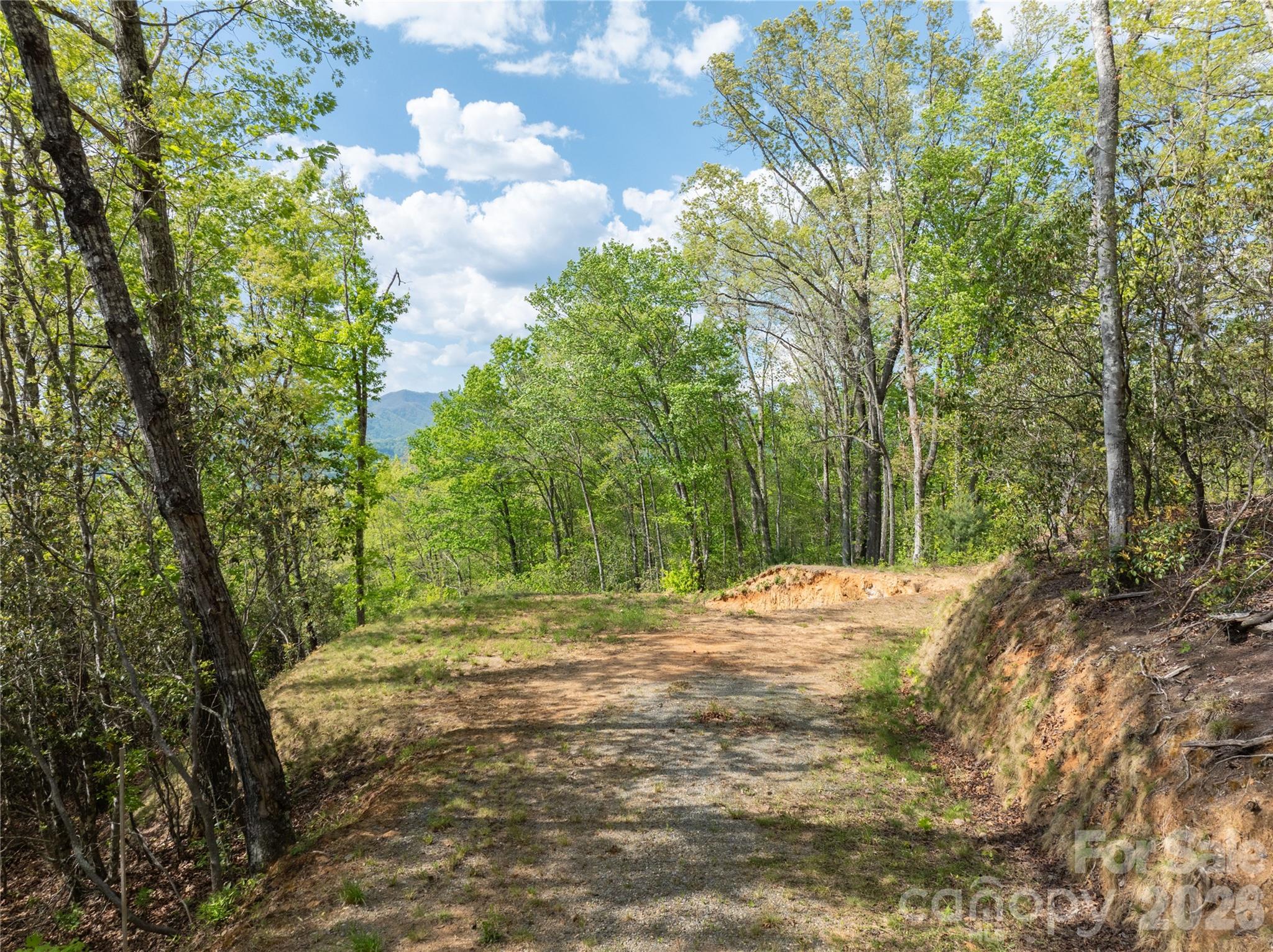 Bryson Gap Preserve - Land