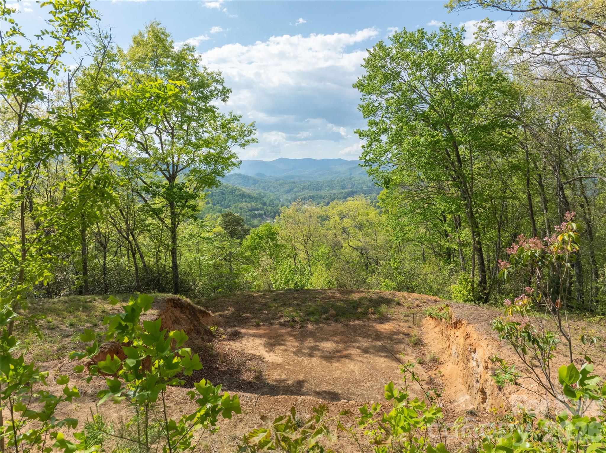 Bryson Gap Preserve - Land