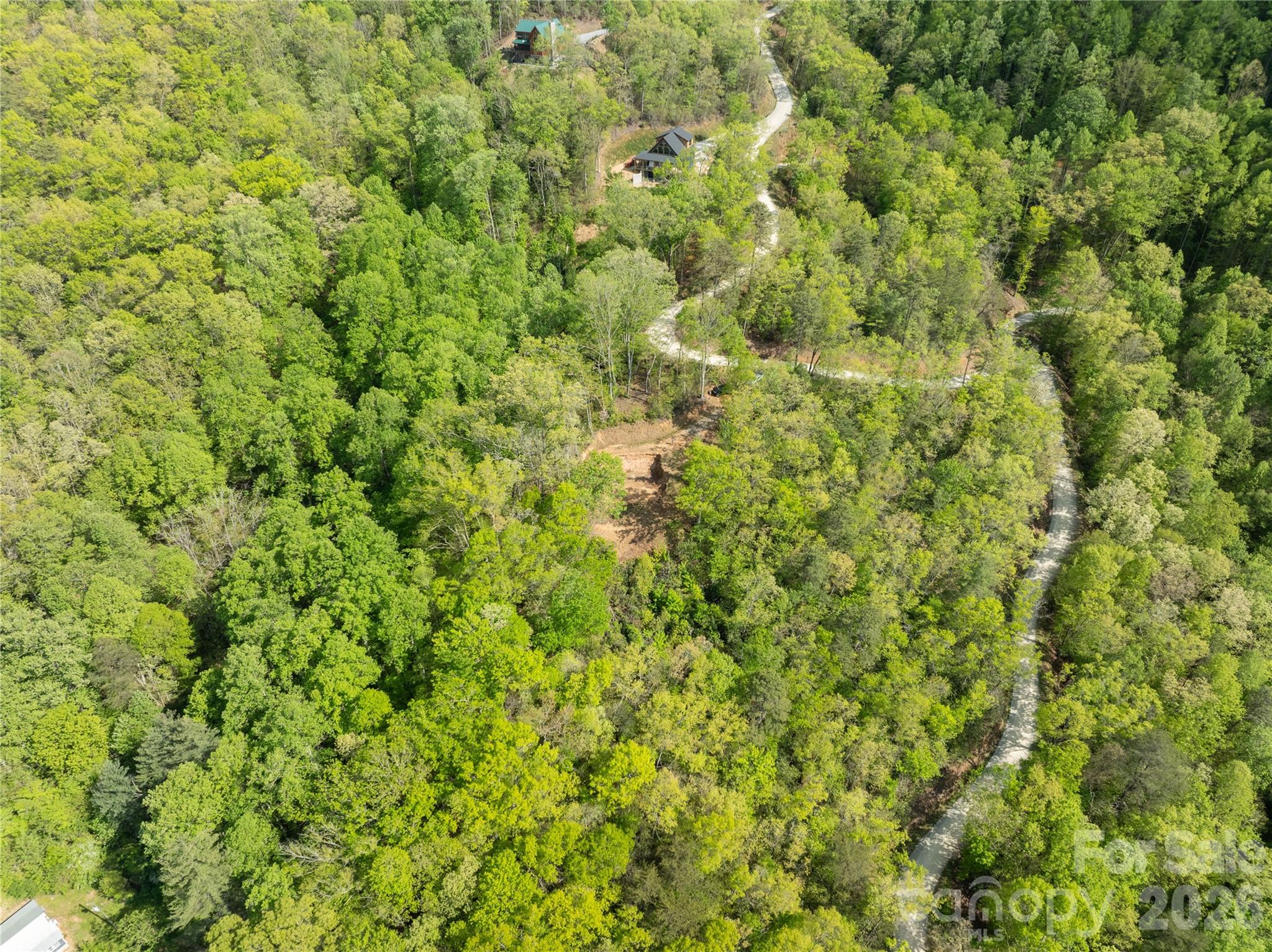 Bryson Gap Preserve - Land