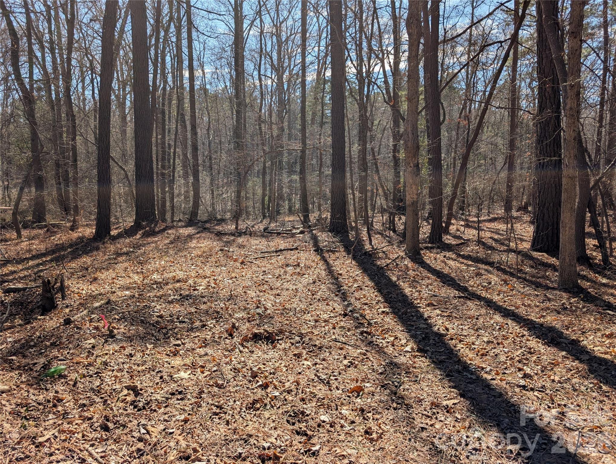 A rare opportunity to own 1.75 acres of open, build-ready land in a quiet rural setting—perfect for creating the dream home you’ve always imagined! This generous parcel offers the ideal blend of privacy, natural beauty, and usable space, giving you the freedom to design a home, workshop, garden, and outdoor living areas exactly the way you want them. Manufactured and modular homes are also permitted. With its natural setting and generous acreage, it’s an opportunity to build a lifestyle—not just a home. Just minutes from downtown and many local amenities: Piedmont Medical Center Trail at Riverwalk, Manchester Meadows Park, Rock Hill Galleria, Spencer Park Dog Park, Waterford Golf Club. Low SC taxes, fantastic schools and minutes from Charlotte, NC.