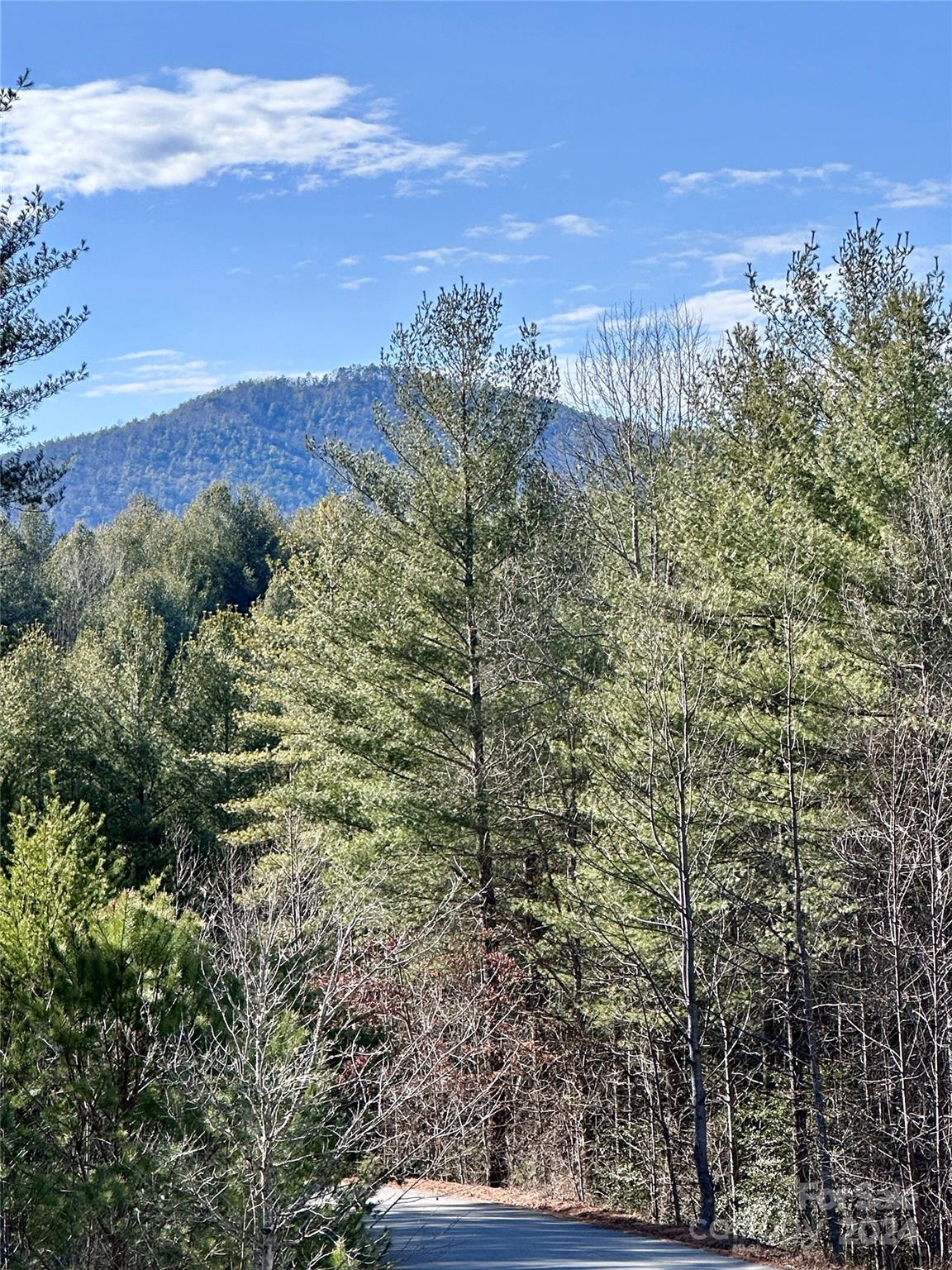 The Bluffs of Wilson Creek - Land