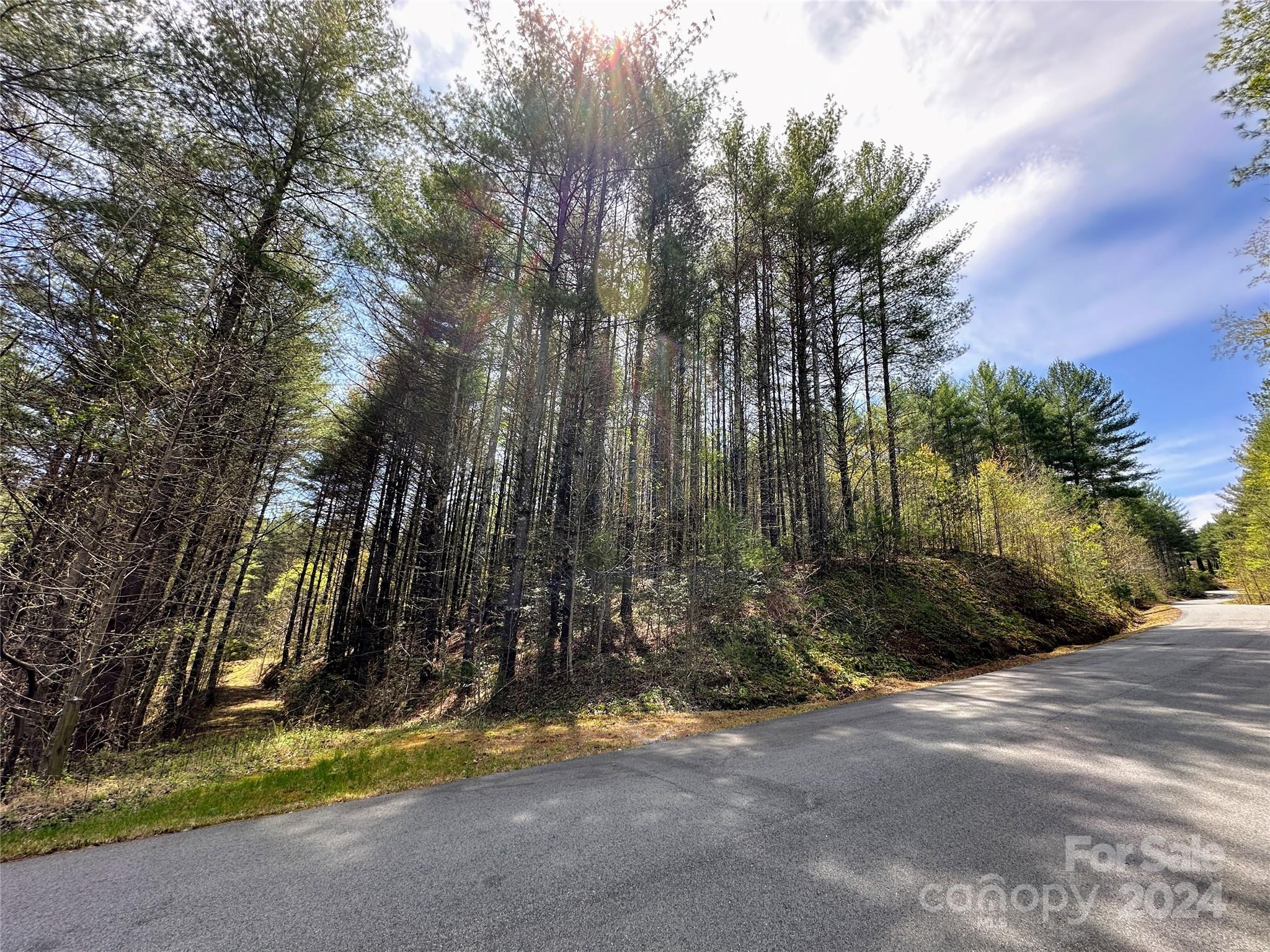 The Bluffs of Wilson Creek - Land