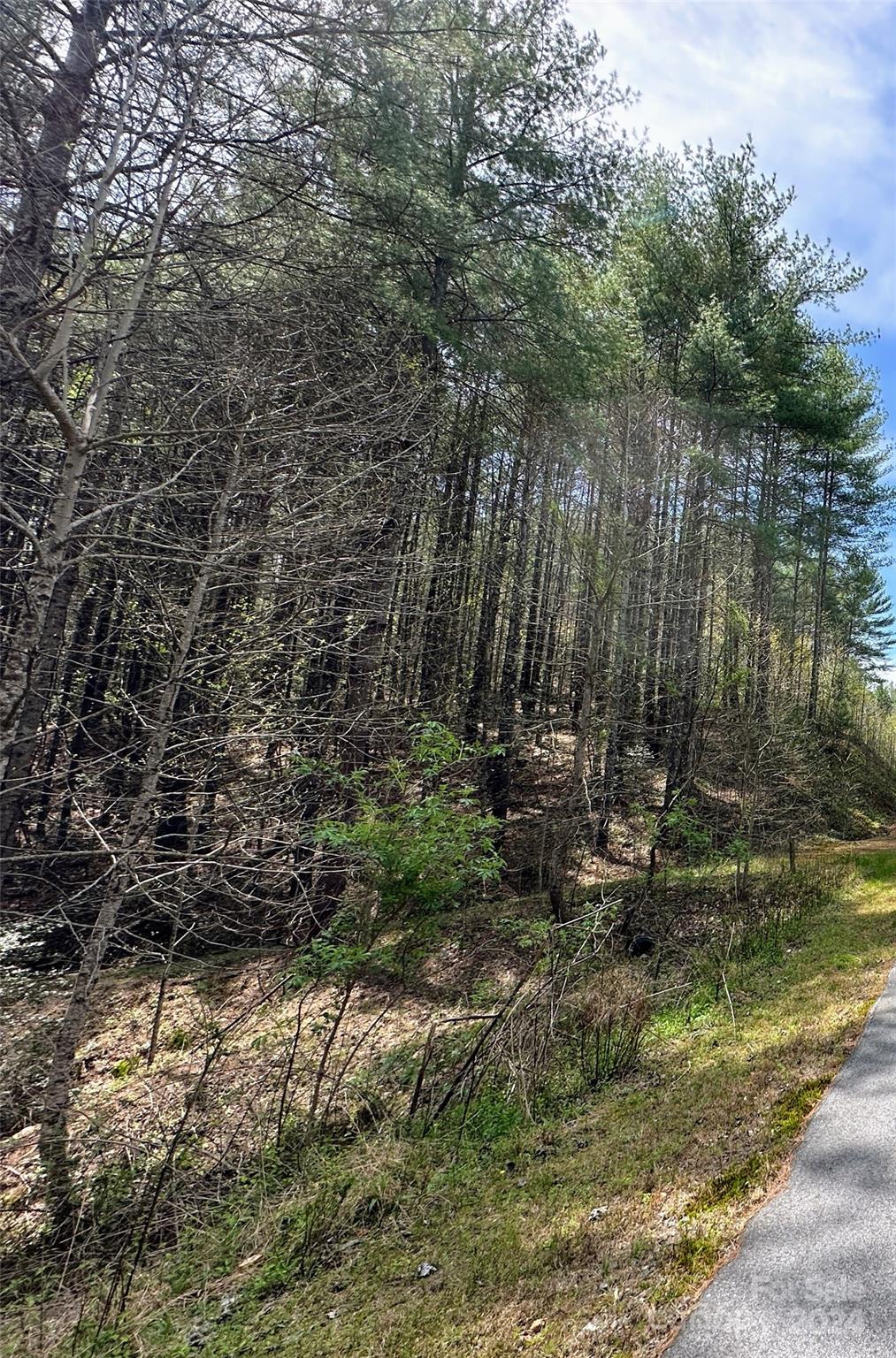 The Bluffs of Wilson Creek - Land
