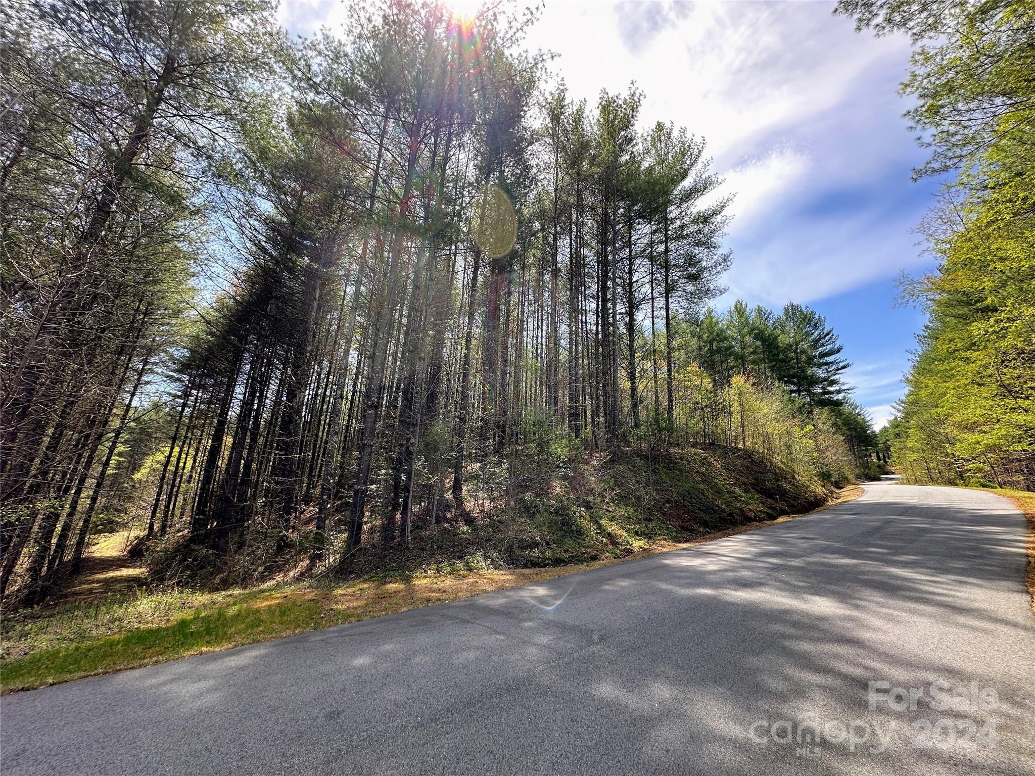 The Bluffs of Wilson Creek - Land